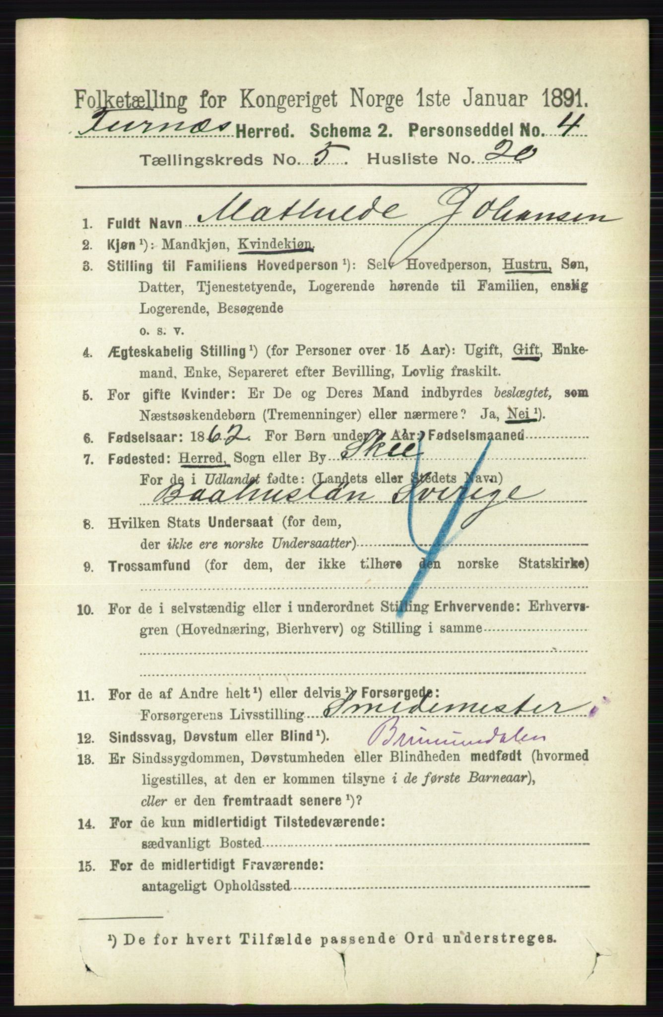 RA, Census 1891 for 0413 Furnes herred, 1891, p. 3302