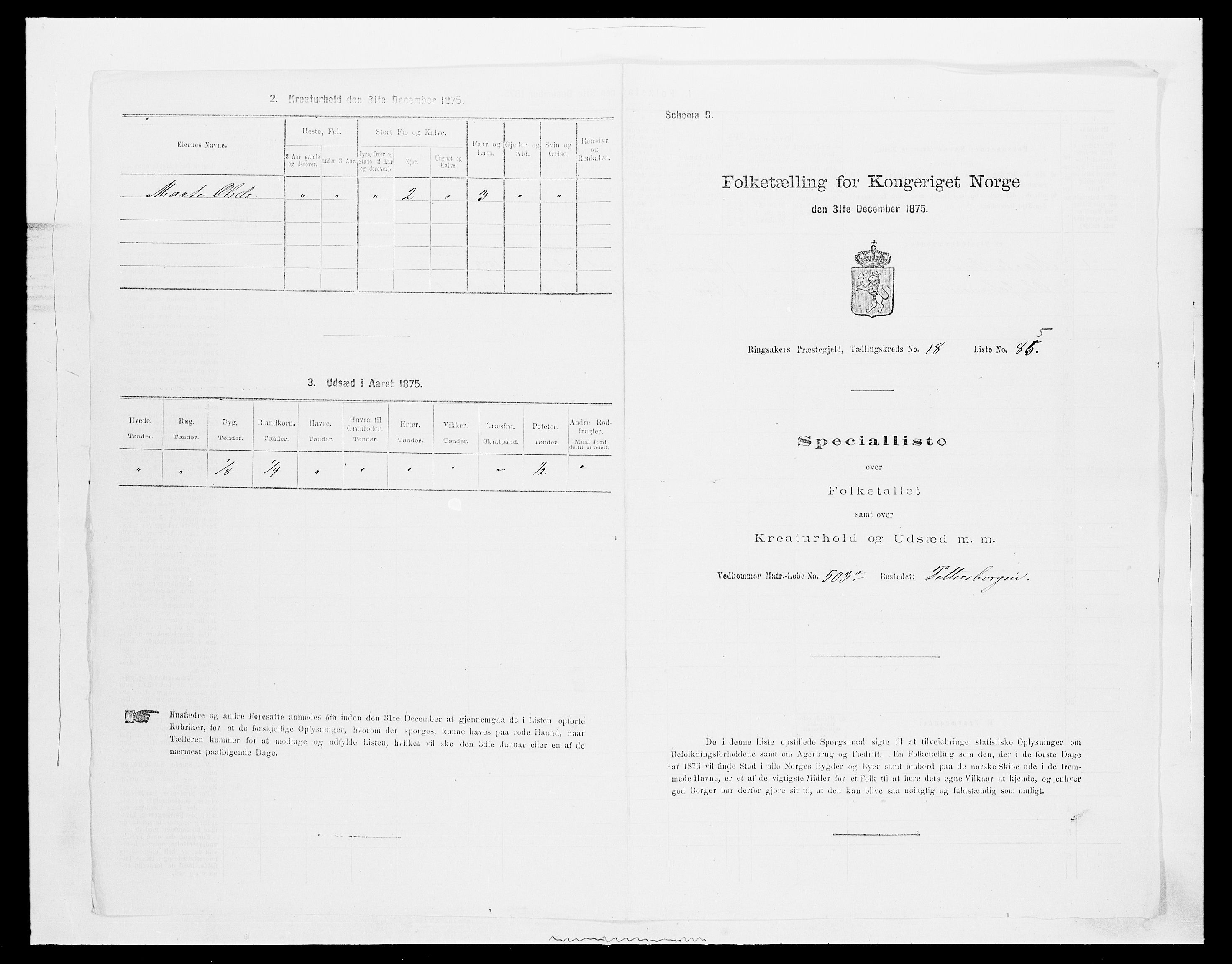 SAH, 1875 census for 0412P Ringsaker, 1875, p. 3726