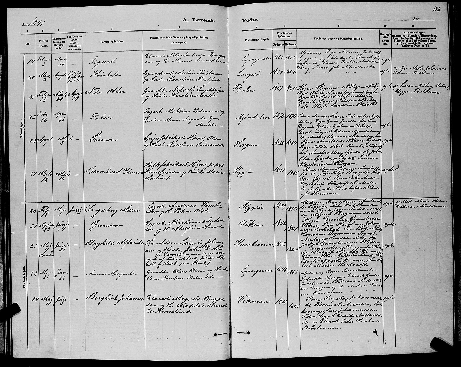 Nedre Eiker kirkebøker, AV/SAKO-A-612/G/Ga/L0002: Parish register (copy) no. 2, 1880-1896, p. 126