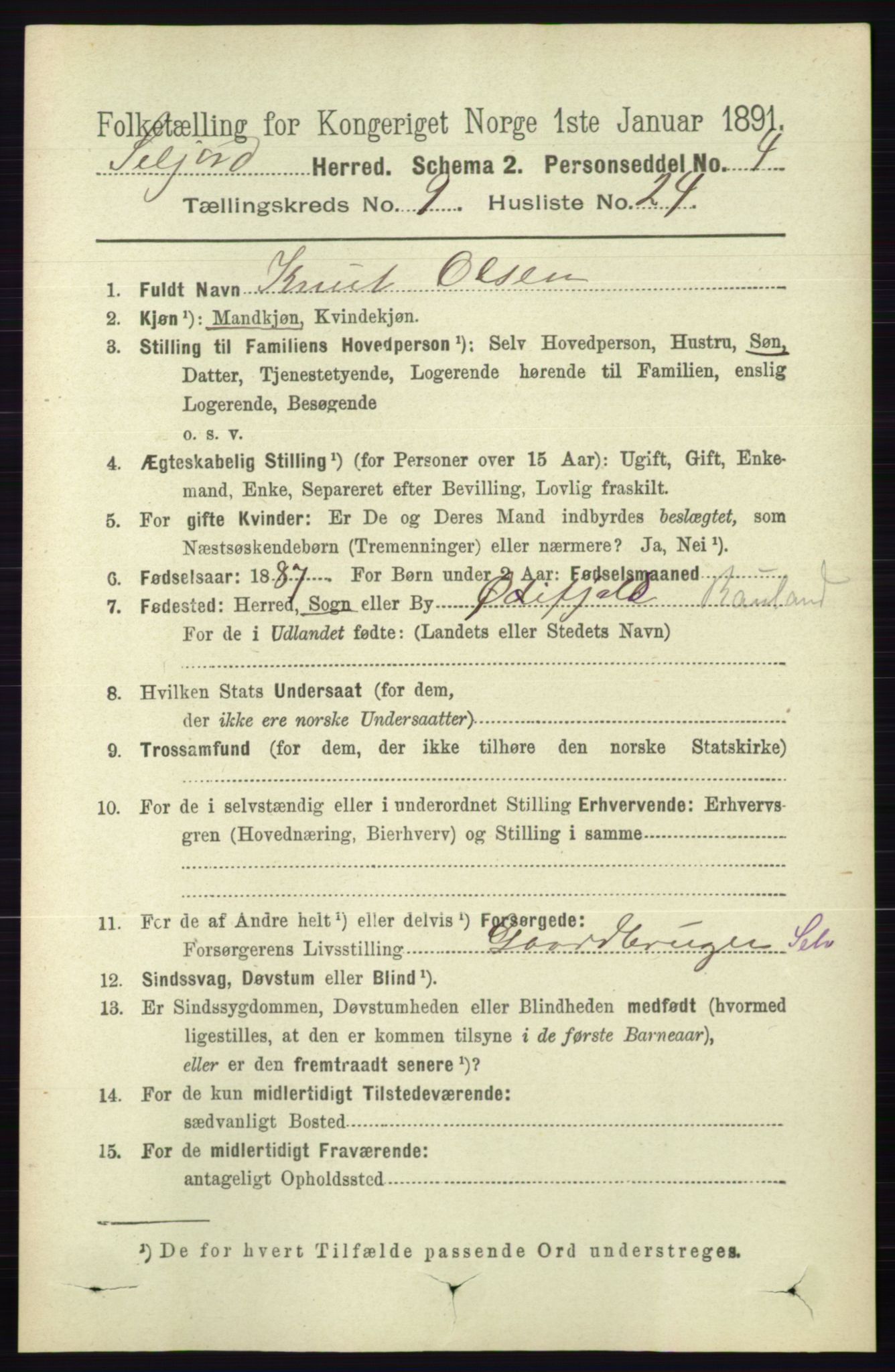 RA, 1891 census for 0828 Seljord, 1891, p. 3307