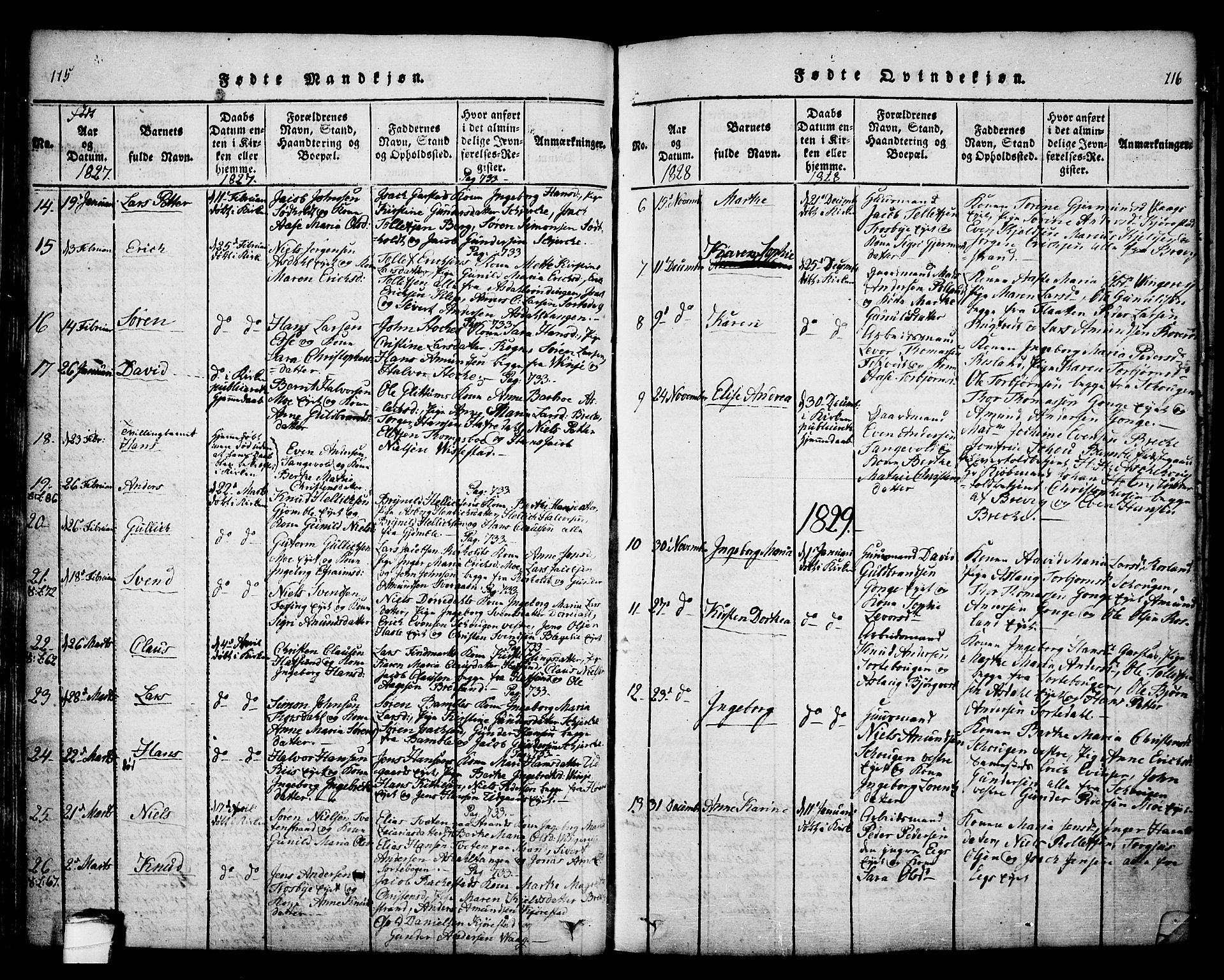 Bamble kirkebøker, SAKO/A-253/F/Fa/L0003: Parish register (official) no. I 3 /1, 1814-1834, p. 115-116