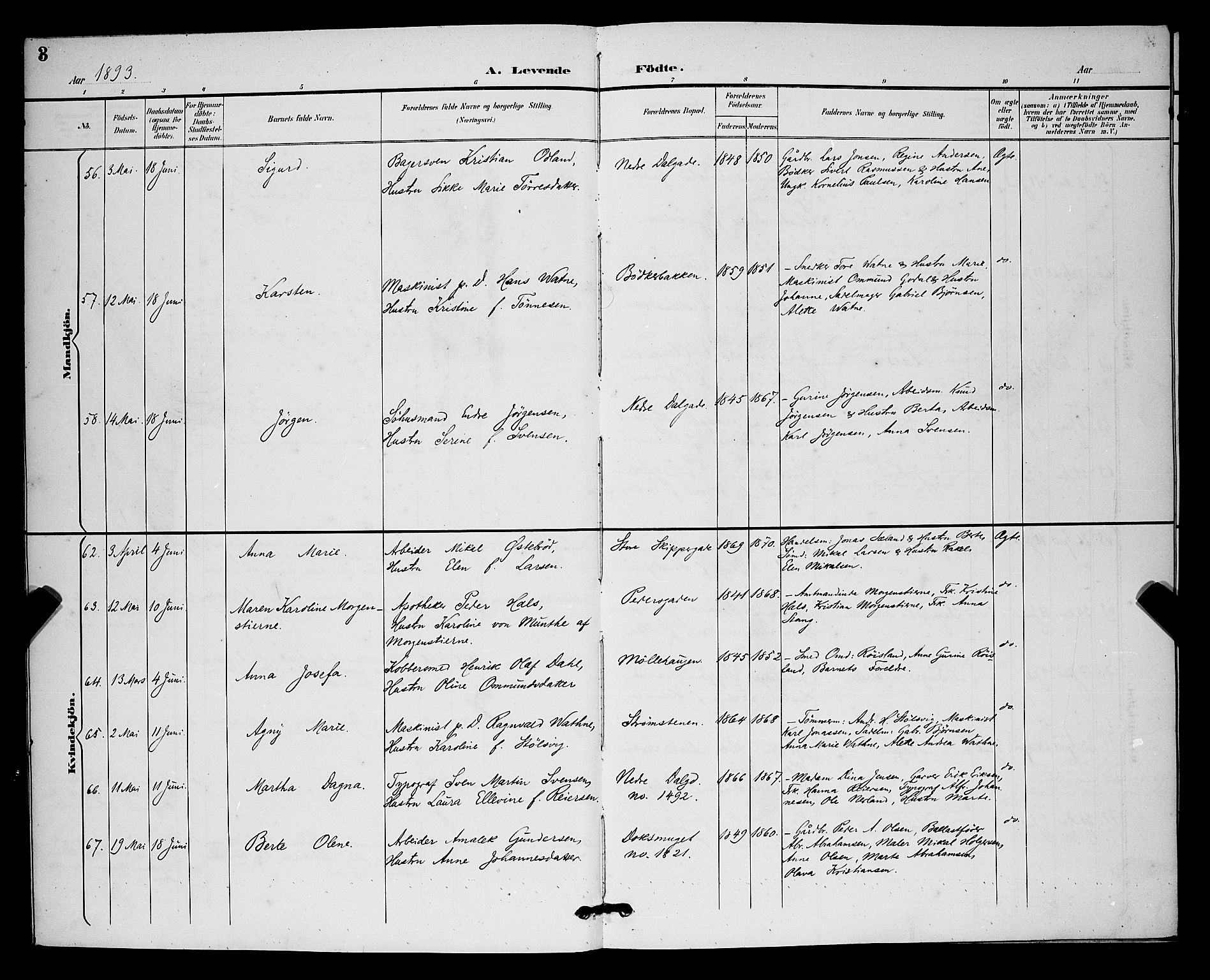 St. Johannes sokneprestkontor, AV/SAST-A-101814/001/30/30BB/L0003: Parish register (copy) no. B 3, 1893-1900, p. 3