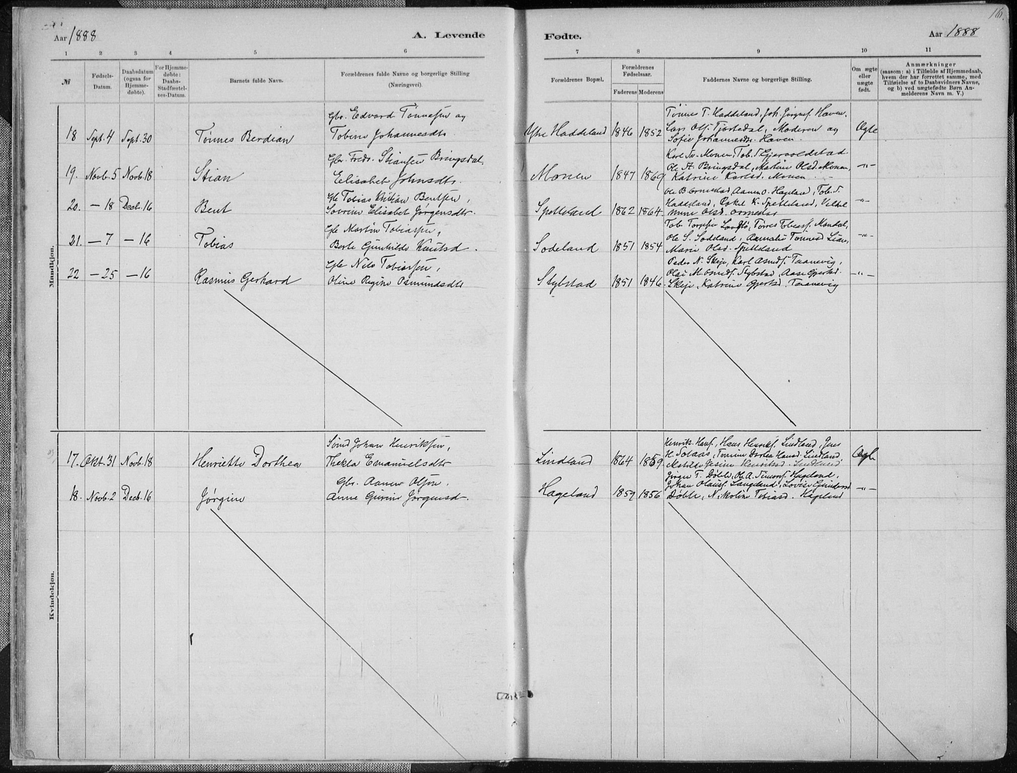 Holum sokneprestkontor, AV/SAK-1111-0022/F/Fa/Faa/L0007: Parish register (official) no. A 7, 1884-1907, p. 16