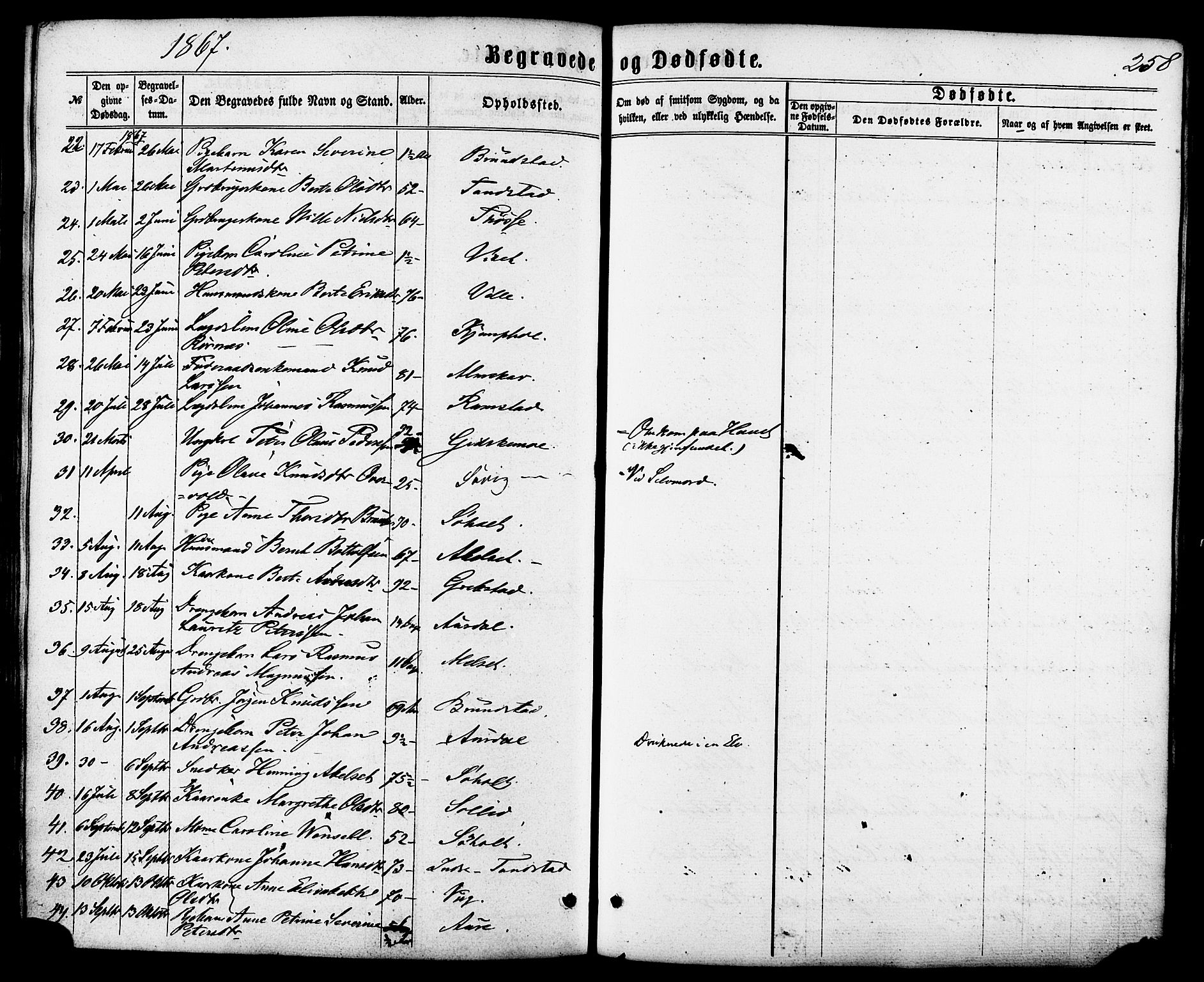 Ministerialprotokoller, klokkerbøker og fødselsregistre - Møre og Romsdal, SAT/A-1454/522/L0314: Parish register (official) no. 522A09, 1863-1877, p. 258