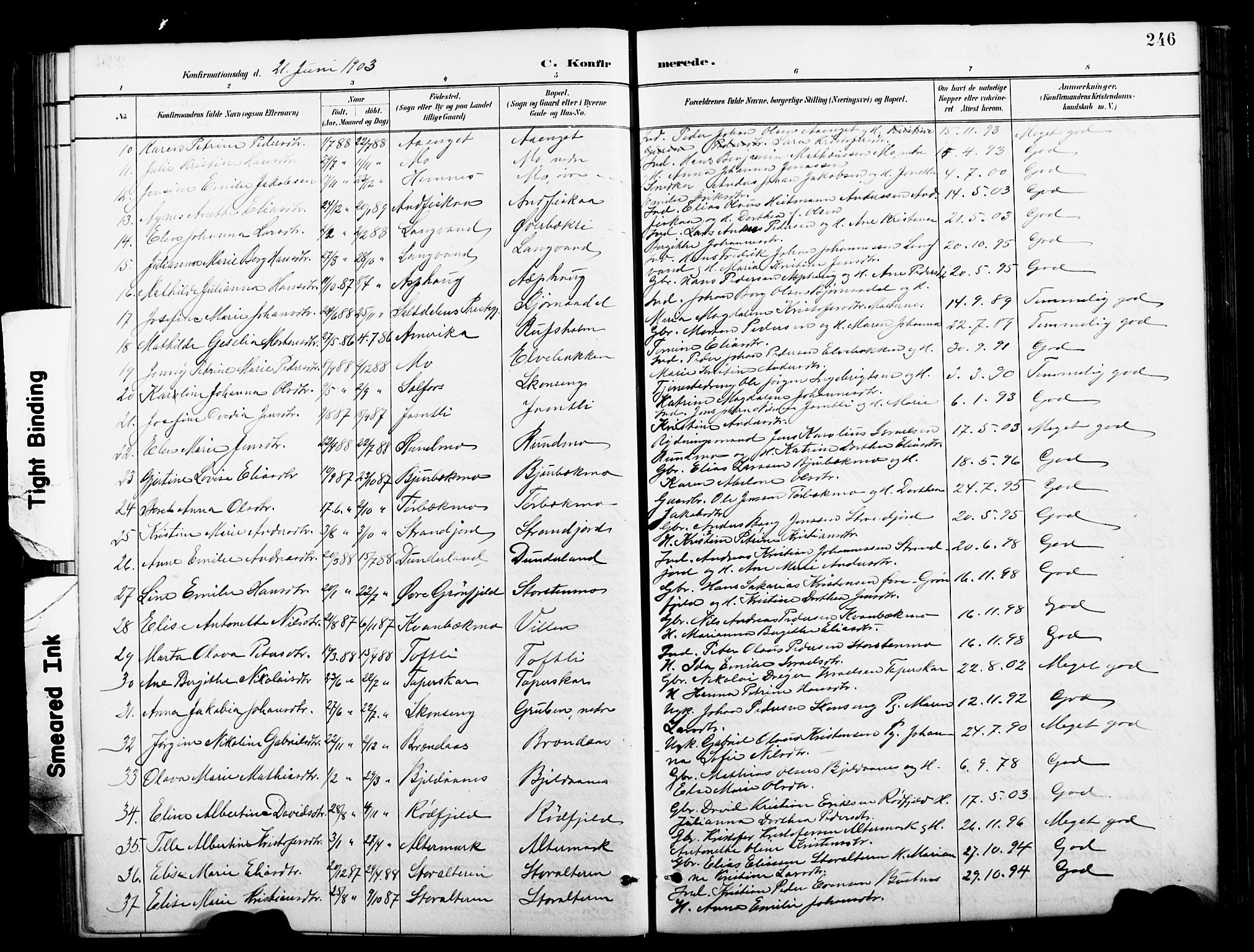 Ministerialprotokoller, klokkerbøker og fødselsregistre - Nordland, AV/SAT-A-1459/827/L0421: Parish register (copy) no. 827C10, 1887-1906, p. 246