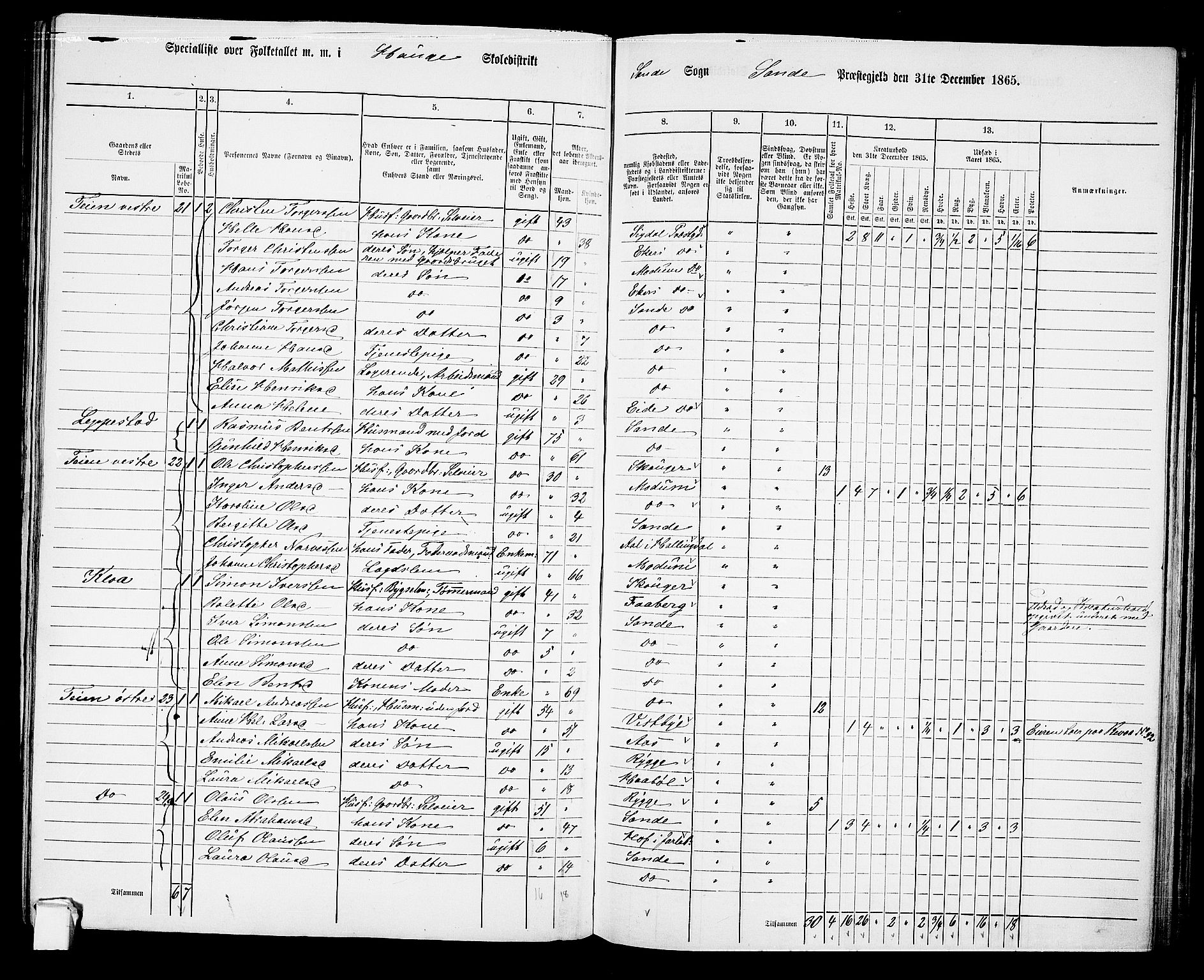 RA, 1865 census for Sande, 1865, p. 34