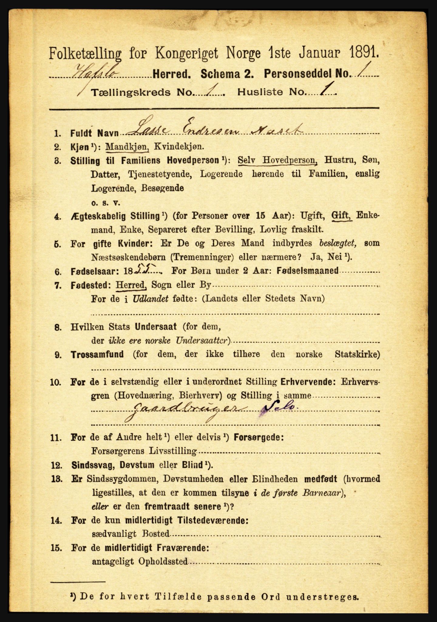 RA, 1891 census for 1425 Hafslo, 1891, p. 102