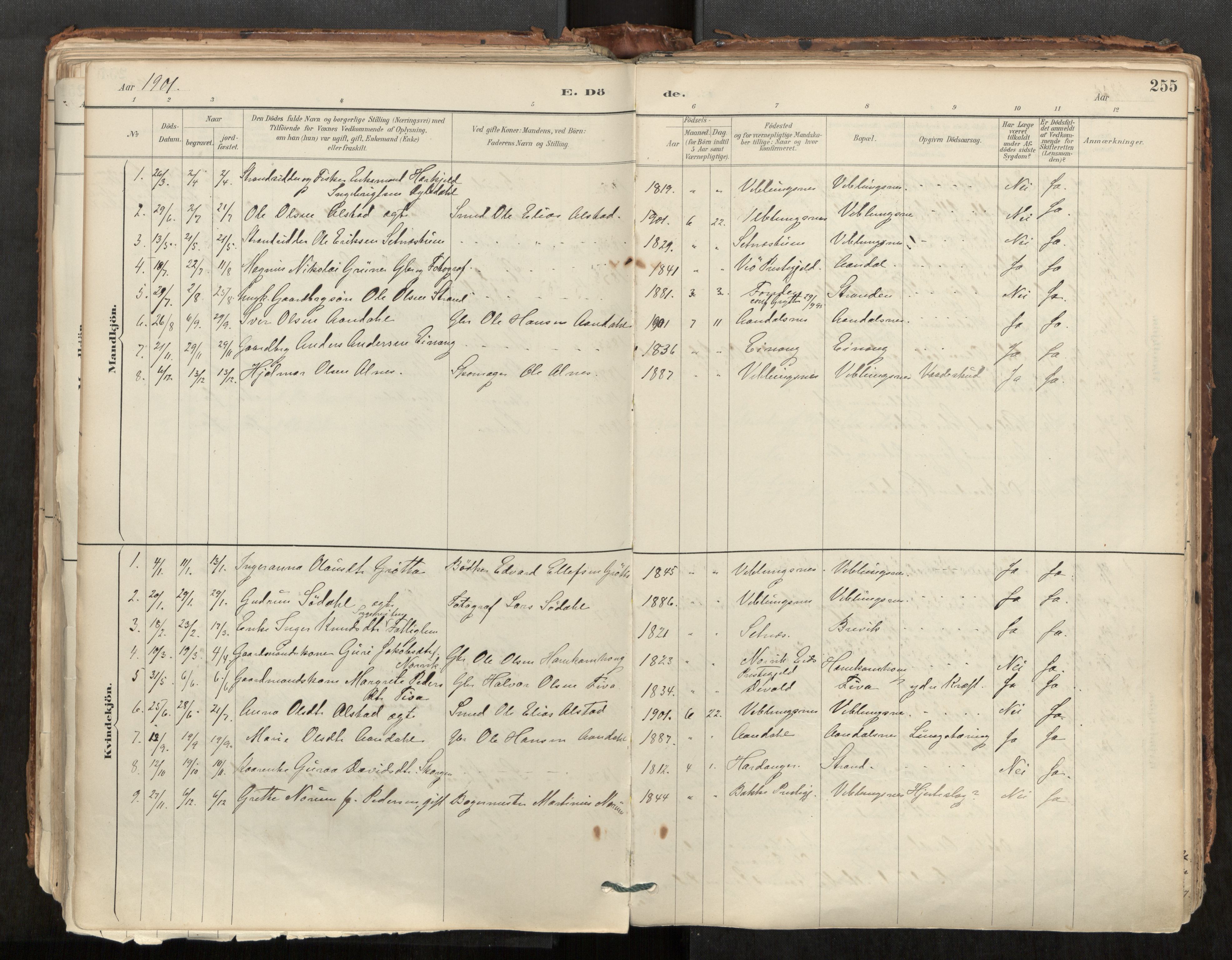 Ministerialprotokoller, klokkerbøker og fødselsregistre - Møre og Romsdal, AV/SAT-A-1454/544/L0585: Parish register (official) no. 544A06, 1887-1924, p. 255