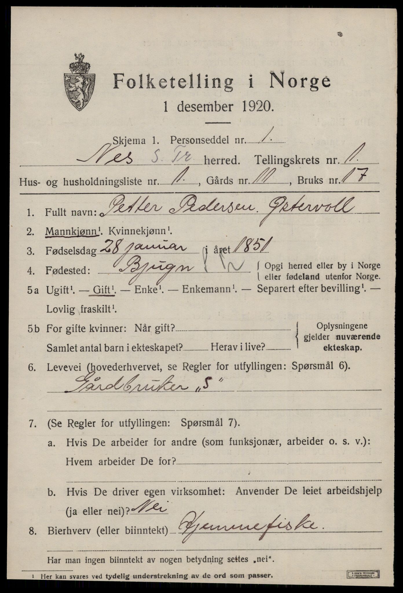 SAT, 1920 census for Nes (ST), 1920, p. 455