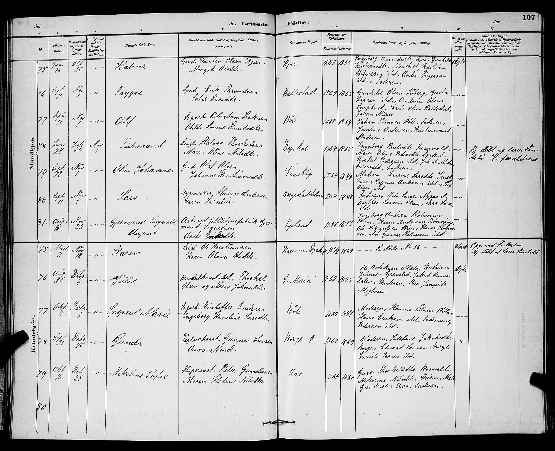 Gjerpen kirkebøker, SAKO/A-265/G/Ga/L0002: Parish register (copy) no. I 2, 1883-1900, p. 107