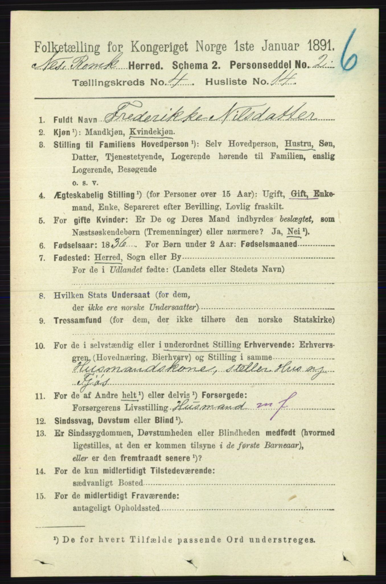 RA, 1891 census for 0236 Nes, 1891, p. 2333