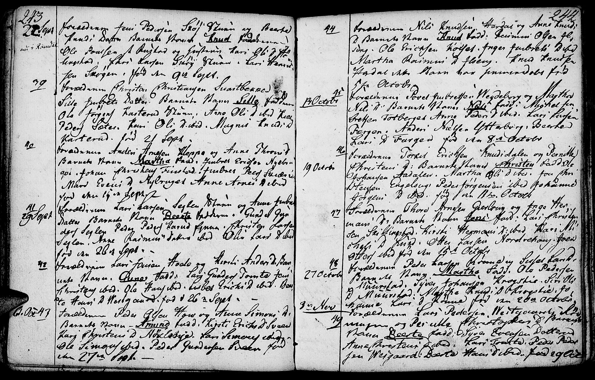 Løten prestekontor, AV/SAH-PREST-022/K/Ka/L0003: Parish register (official) no. 3, 1773-1800, p. 243-244