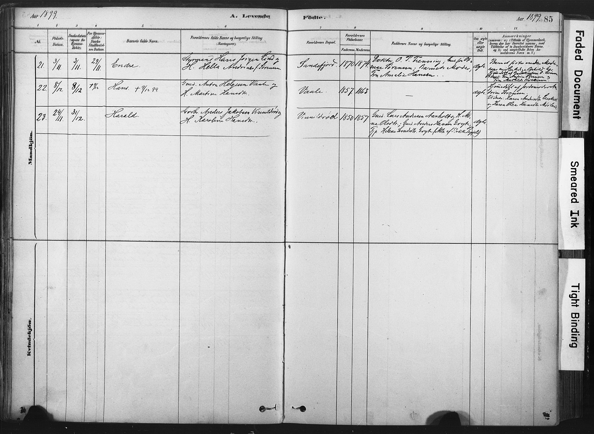 Andebu kirkebøker, AV/SAKO-A-336/F/Fa/L0007: Parish register (official) no. I 7, 1878-1899, p. 85