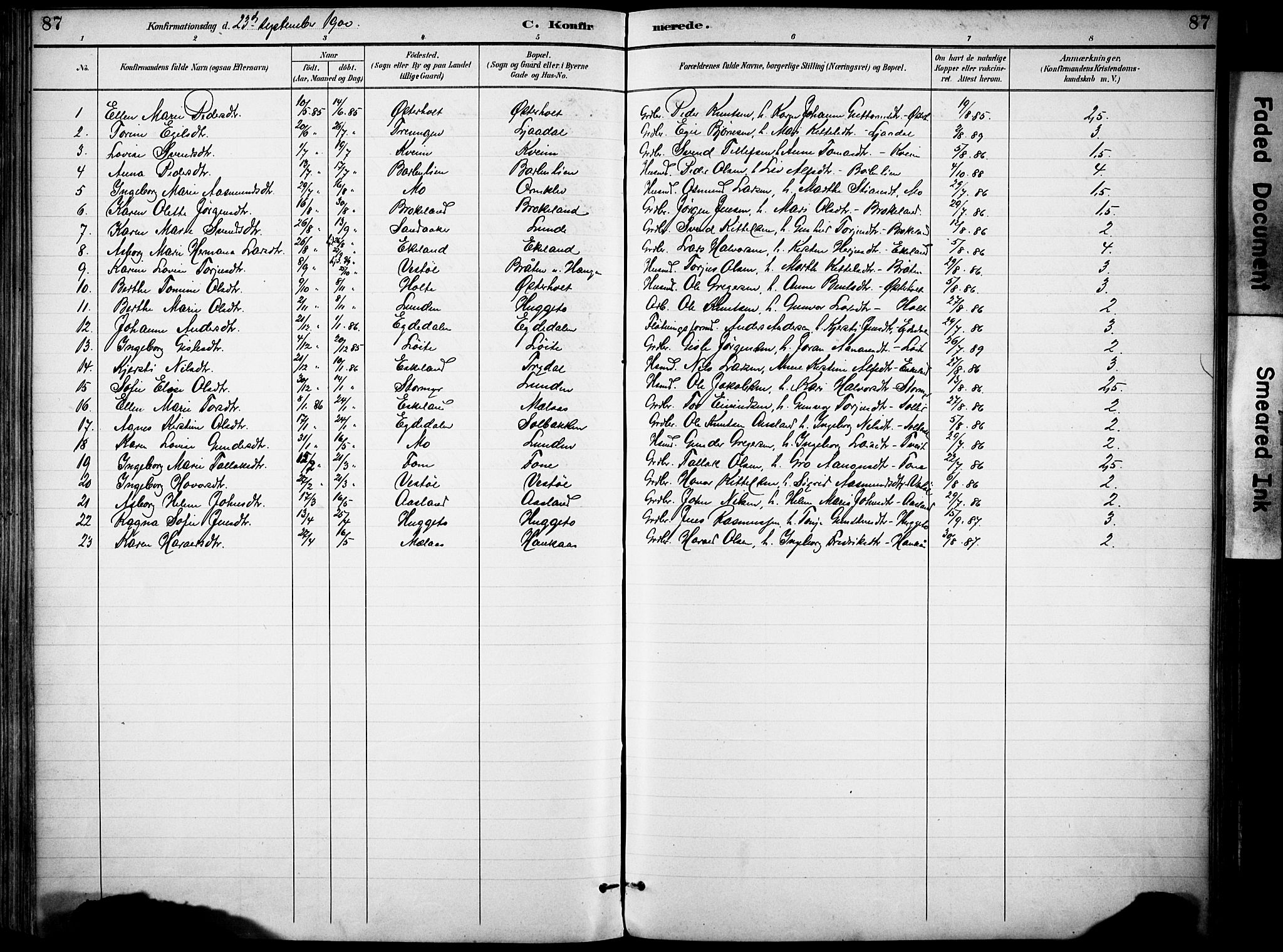 Gjerstad sokneprestkontor, AV/SAK-1111-0014/F/Fa/Faa/L0010: Parish register (official) no. A 10, 1891-1902, p. 87