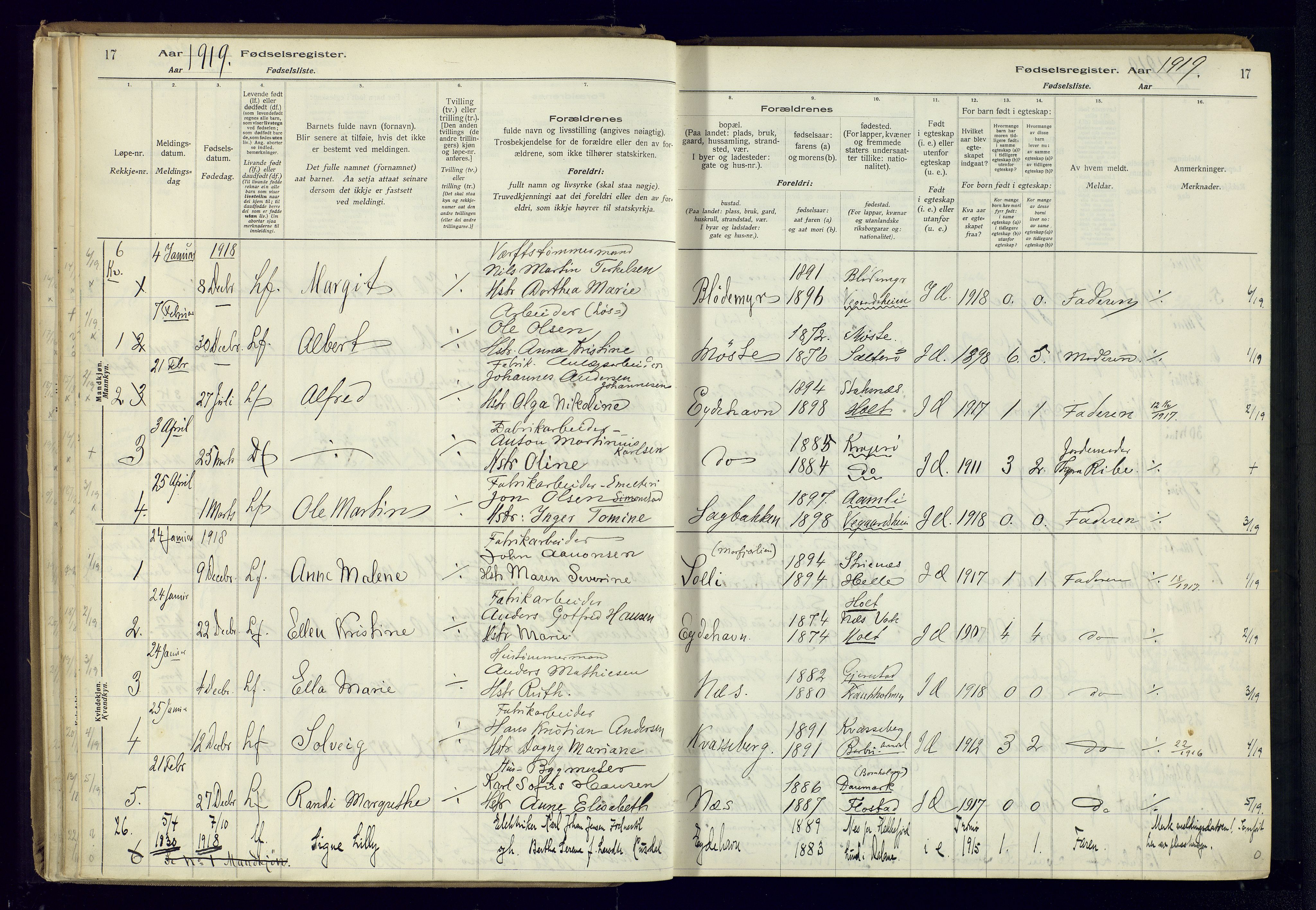 Austre Moland sokneprestkontor, SAK/1111-0001/J/Ja/L0003: Birth register no. A-VI-27, 1916-1950, p. 17