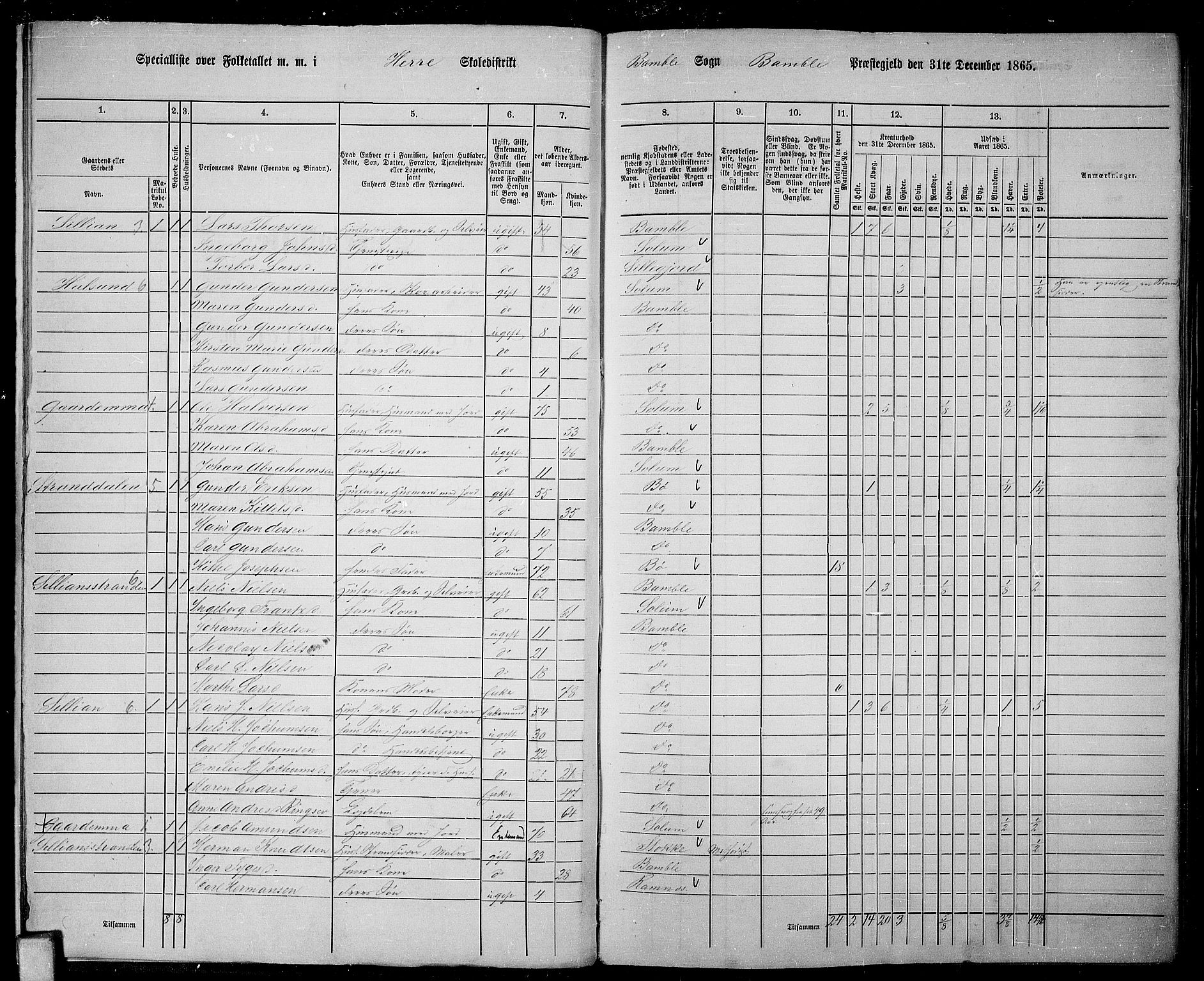 RA, 1865 census for Bamble, 1865, p. 14