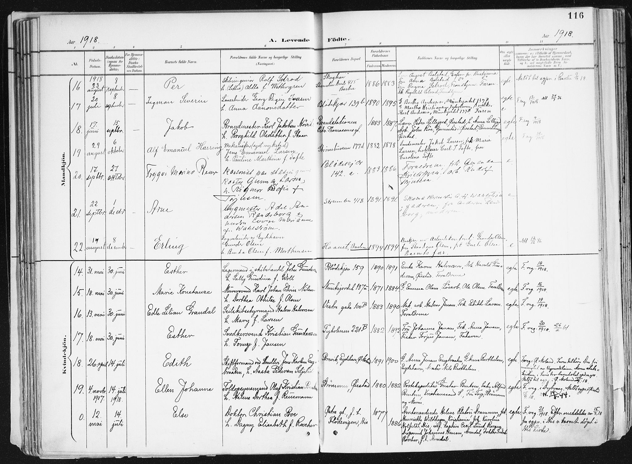 Arendal sokneprestkontor, Trefoldighet, AV/SAK-1111-0040/F/Fa/L0010: Parish register (official) no. A 10, 1900-1919, p. 116