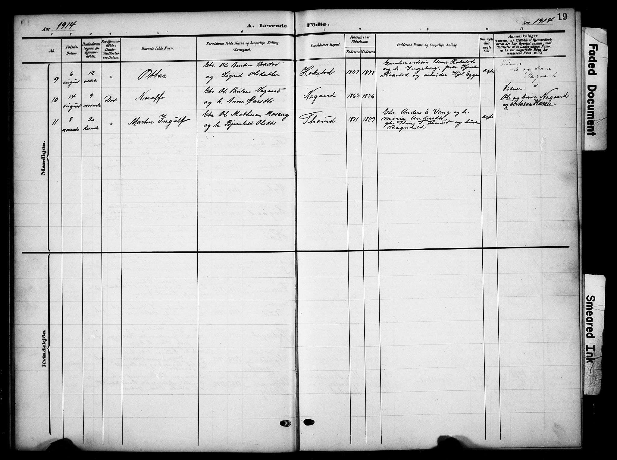 Tynset prestekontor, SAH/PREST-058/H/Ha/Hab/L0010: Parish register (copy) no. 10, 1902-1929, p. 19
