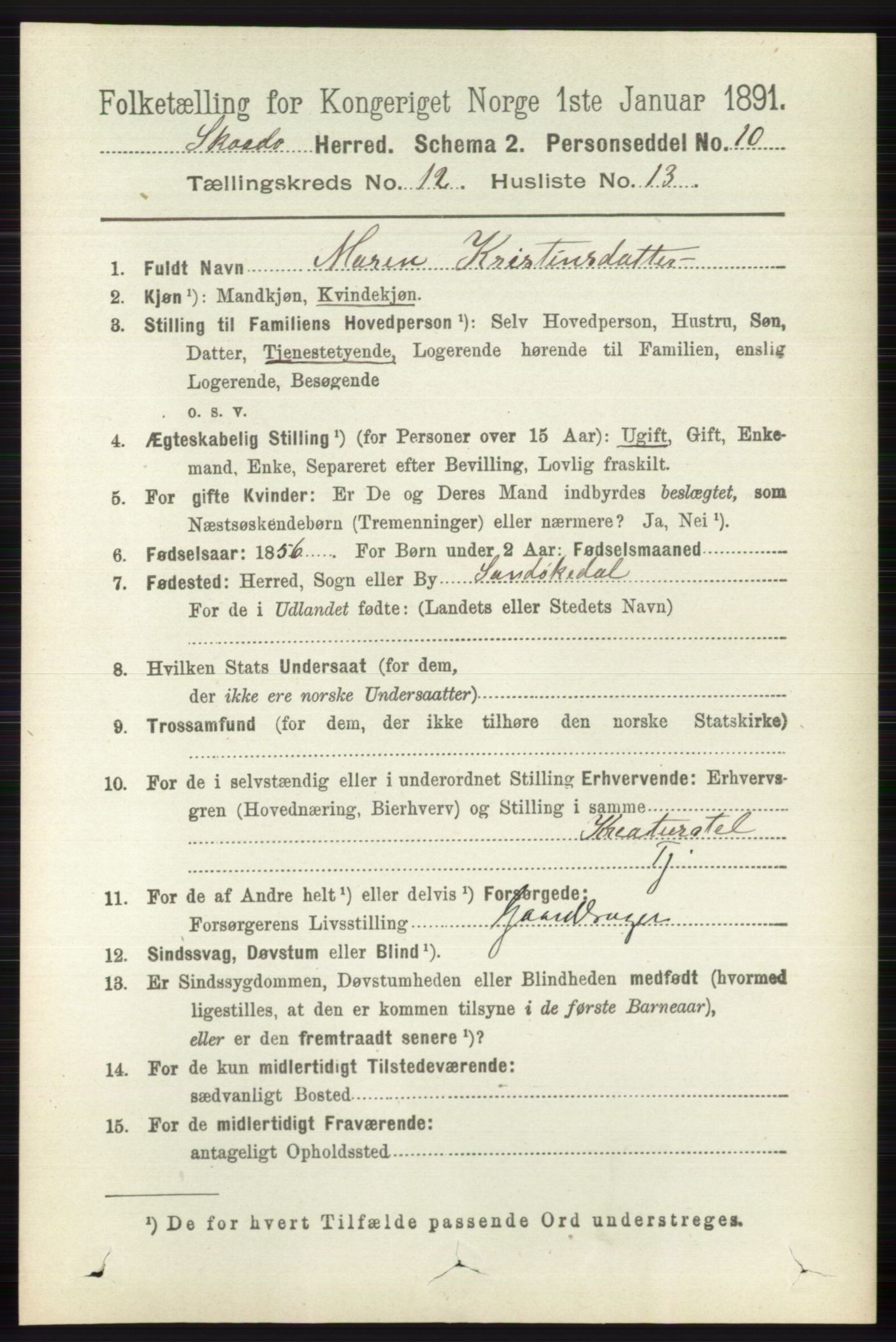 RA, 1891 census for 0815 Skåtøy, 1891, p. 4375