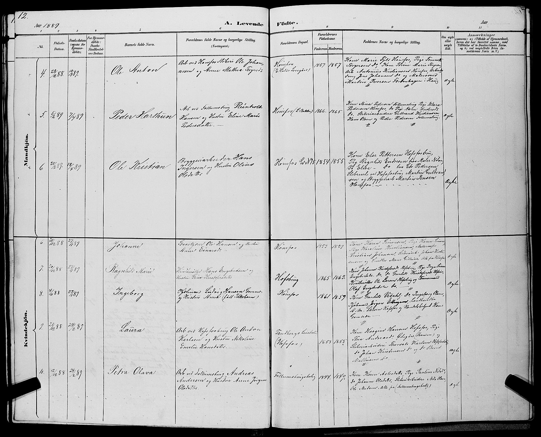 Hønefoss kirkebøker, SAKO/A-609/G/Ga/L0002: Parish register (copy) no. 2, 1888-1904, p. 12