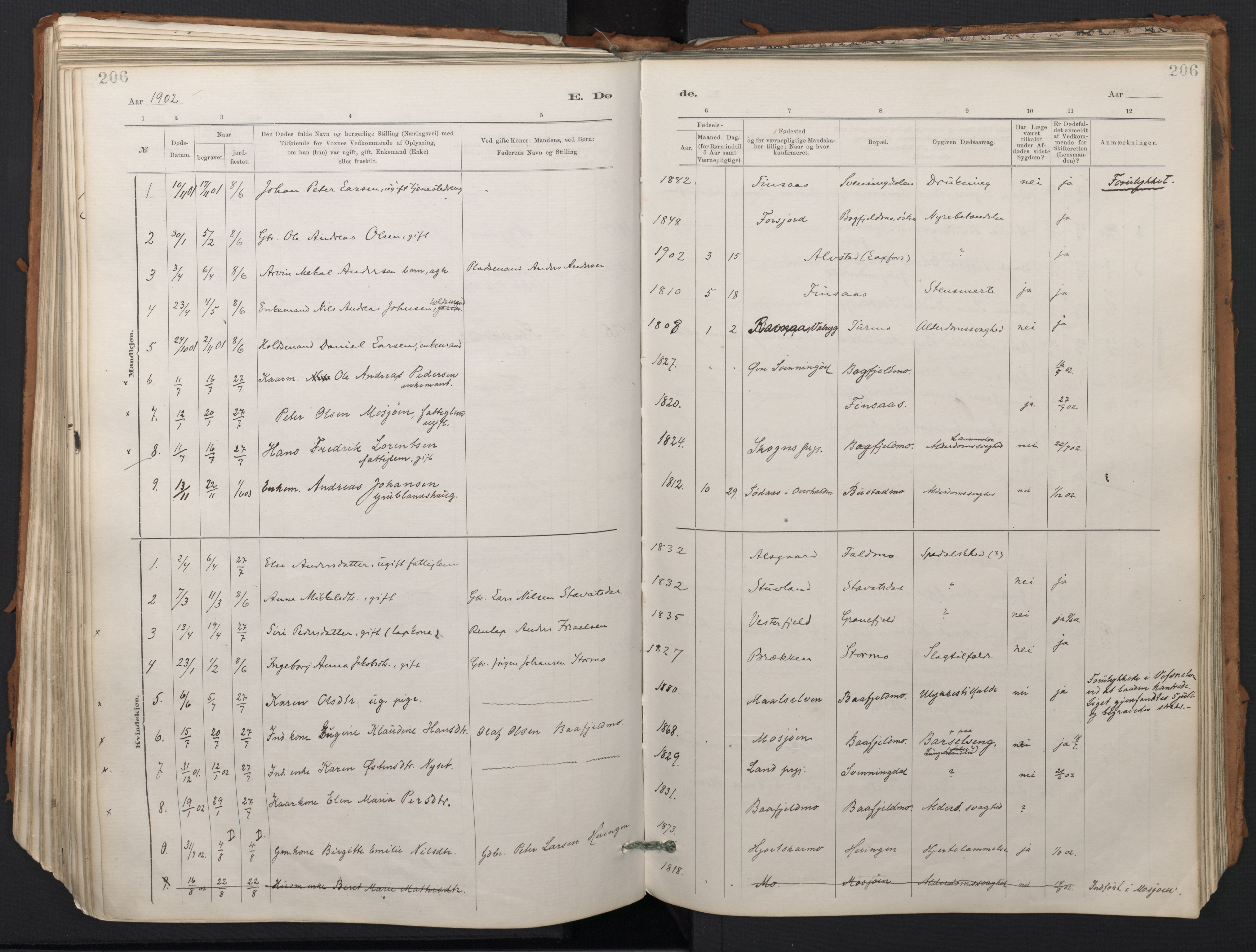 Ministerialprotokoller, klokkerbøker og fødselsregistre - Nordland, SAT/A-1459/824/L0338: Parish register (official) no. 824A01, 1880-1915, p. 206