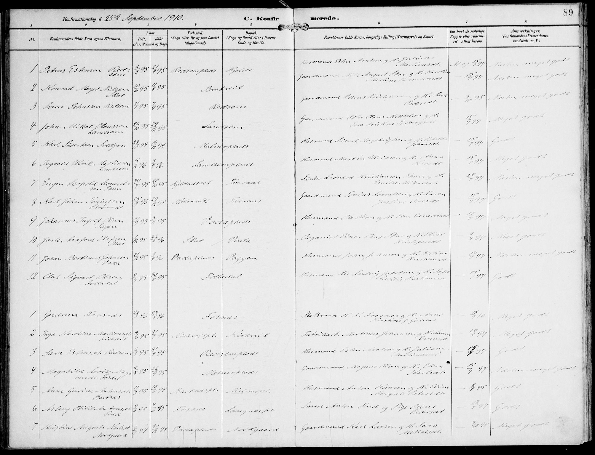 Ministerialprotokoller, klokkerbøker og fødselsregistre - Nord-Trøndelag, SAT/A-1458/745/L0430: Parish register (official) no. 745A02, 1895-1913, p. 89