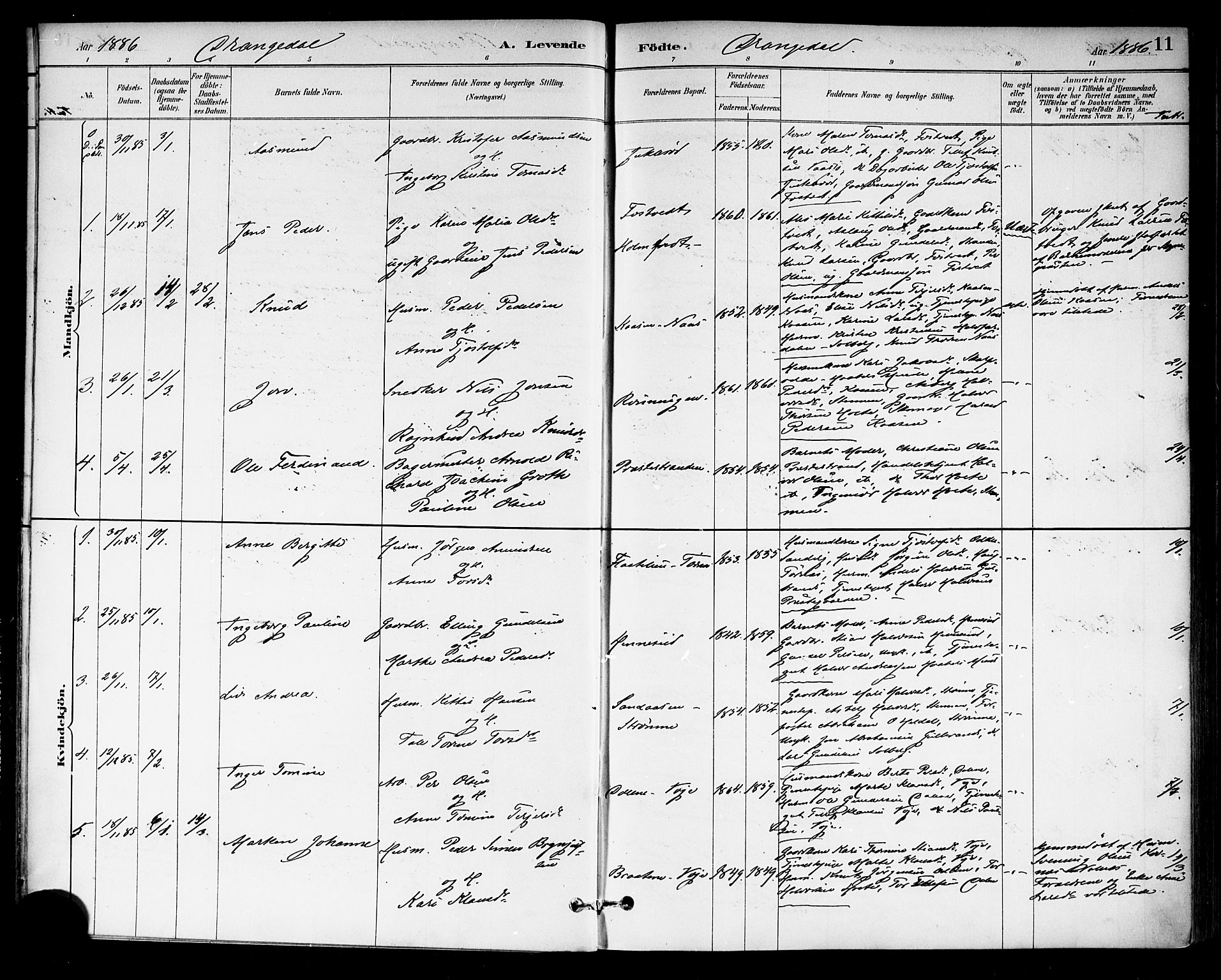 Drangedal kirkebøker, SAKO/A-258/F/Fa/L0010: Parish register (official) no. 10 /1, 1885-1894, p. 11