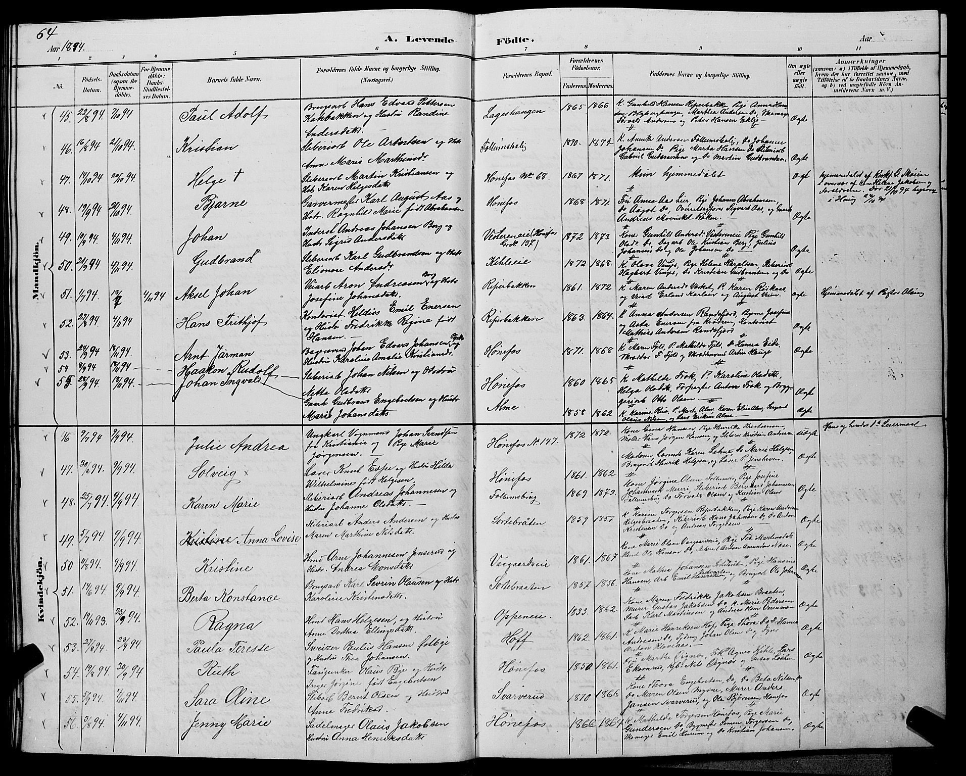 Hønefoss kirkebøker, AV/SAKO-A-609/G/Ga/L0002: Parish register (copy) no. 2, 1888-1904, p. 64