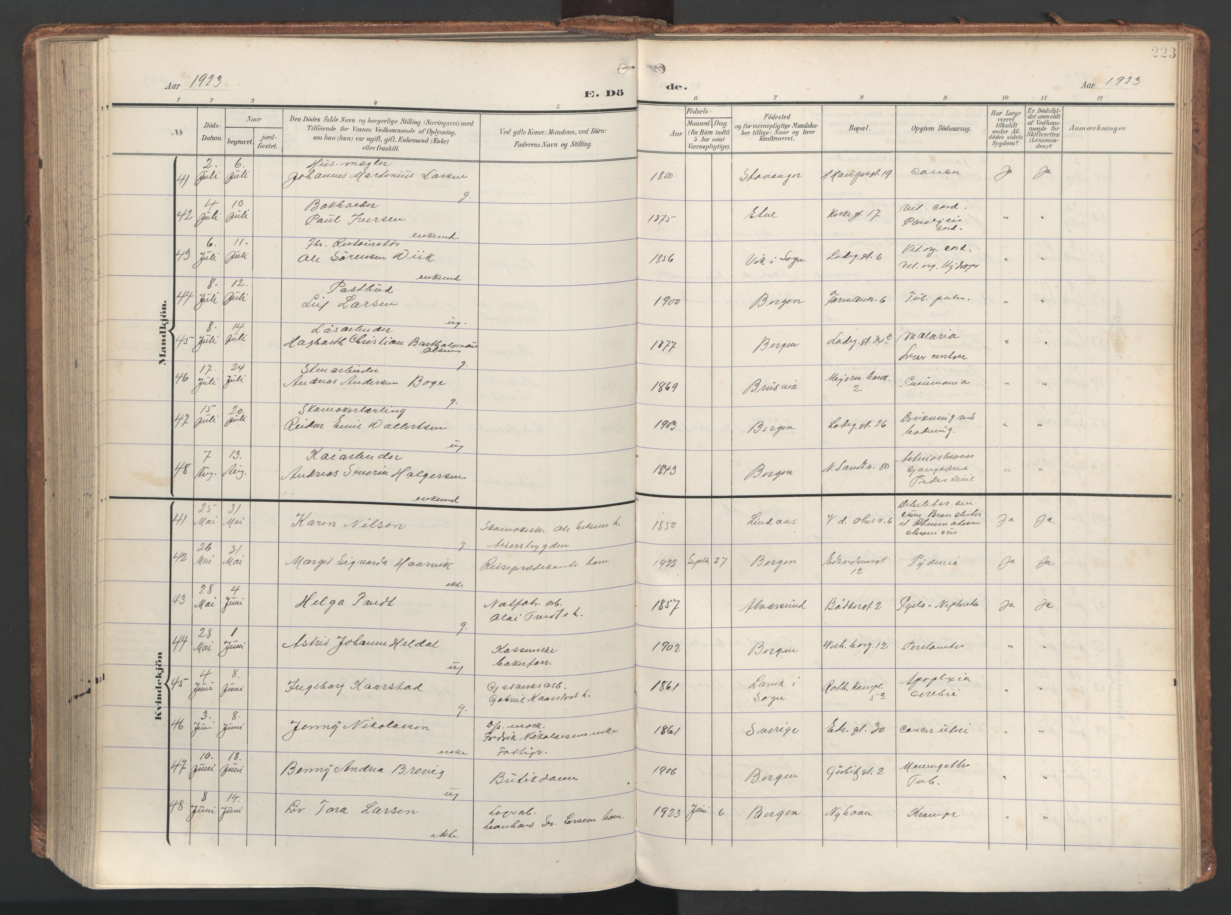 Sandviken Sokneprestembete, AV/SAB-A-77601/H/Ha/L0019: Parish register (official) no. E 2, 1905-1933, p. 223