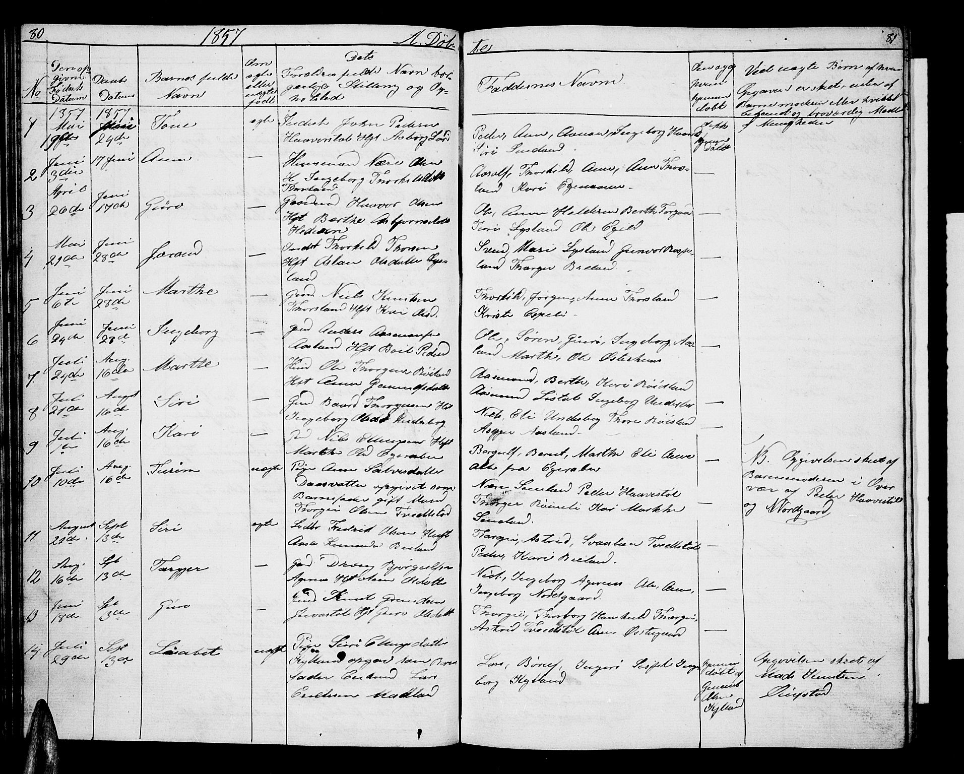 Åseral sokneprestkontor, AV/SAK-1111-0051/F/Fb/L0001: Parish register (copy) no. B 1, 1856-1877, p. 80-81