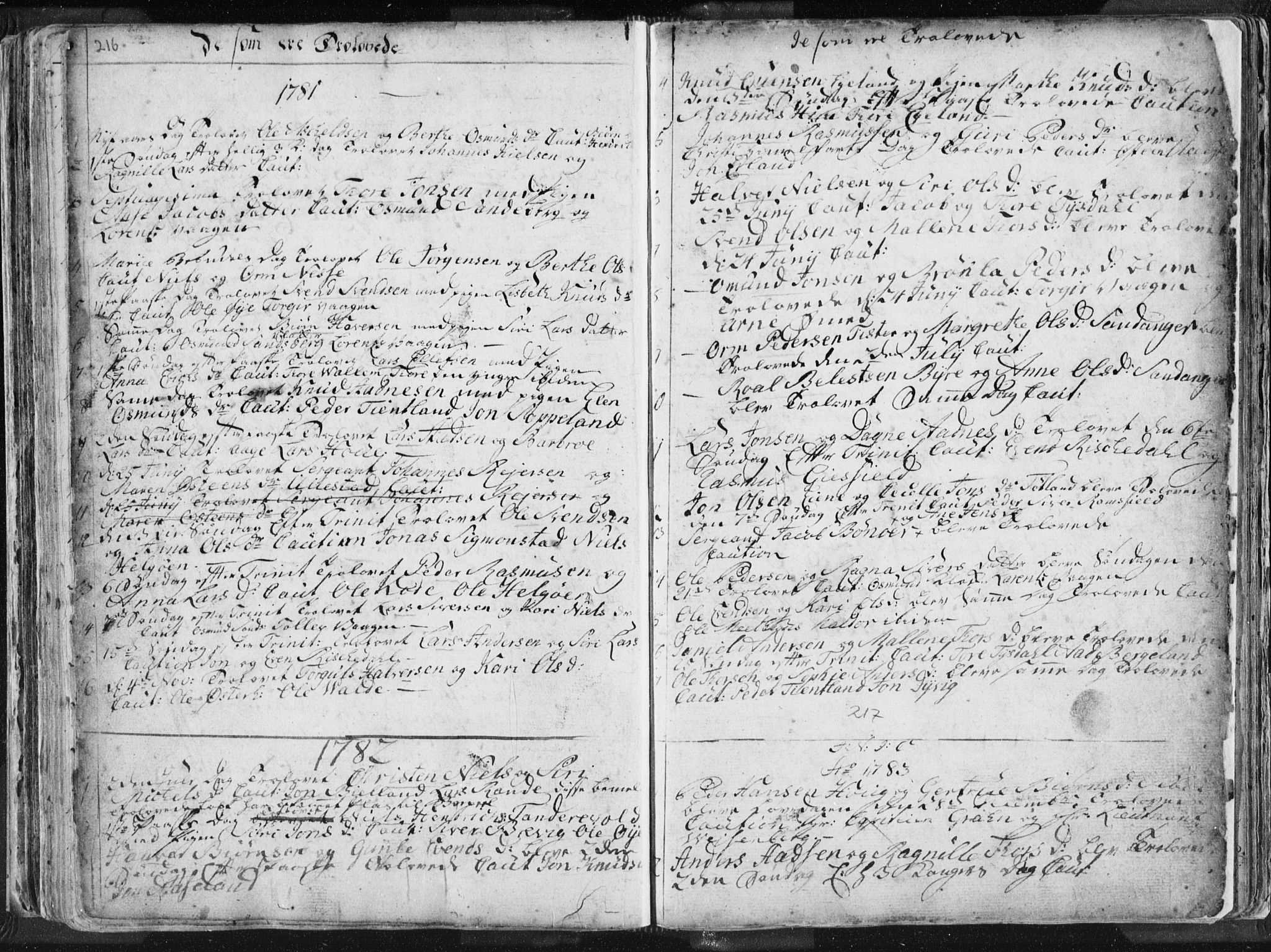 Hjelmeland sokneprestkontor, SAST/A-101843/01/IV/L0001: Parish register (official) no. A 1, 1760-1799, p. 216-217