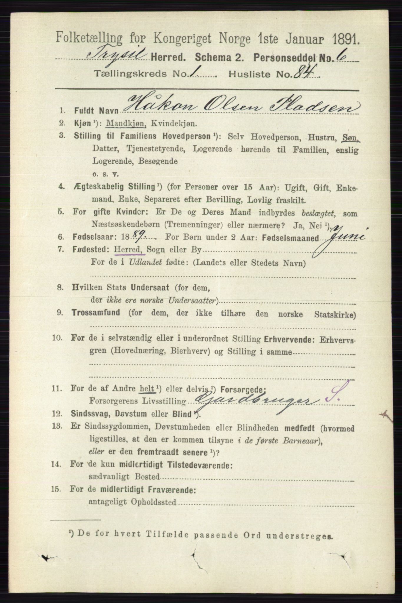 RA, 1891 census for 0428 Trysil, 1891, p. 648