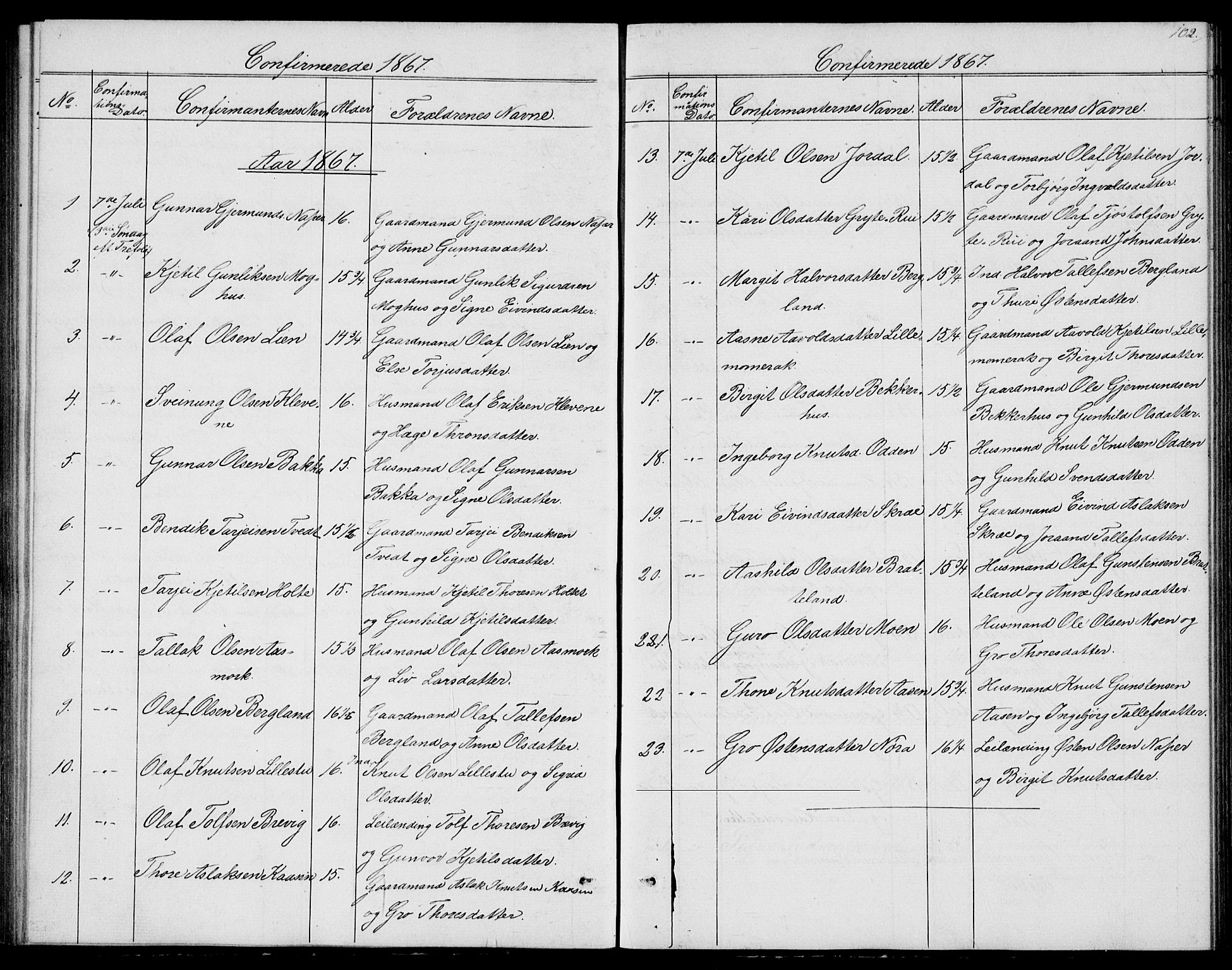 Fyresdal kirkebøker, SAKO/A-263/G/Ga/L0004: Parish register (copy) no. I 4, 1864-1892, p. 102