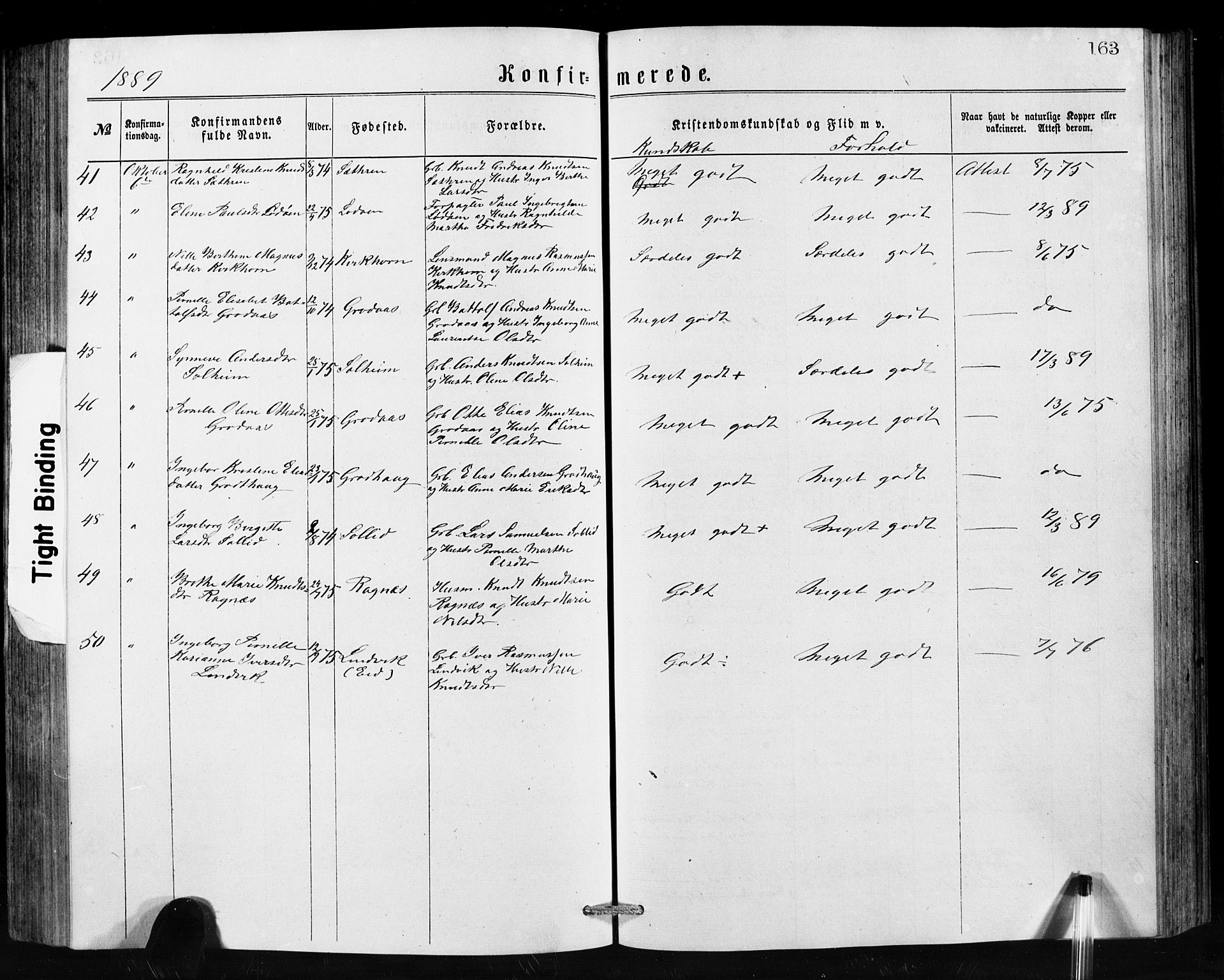 Hornindal sokneprestembete, SAB/A-82401/H/Hab: Parish register (copy) no. A 1, 1876-1894, p. 163