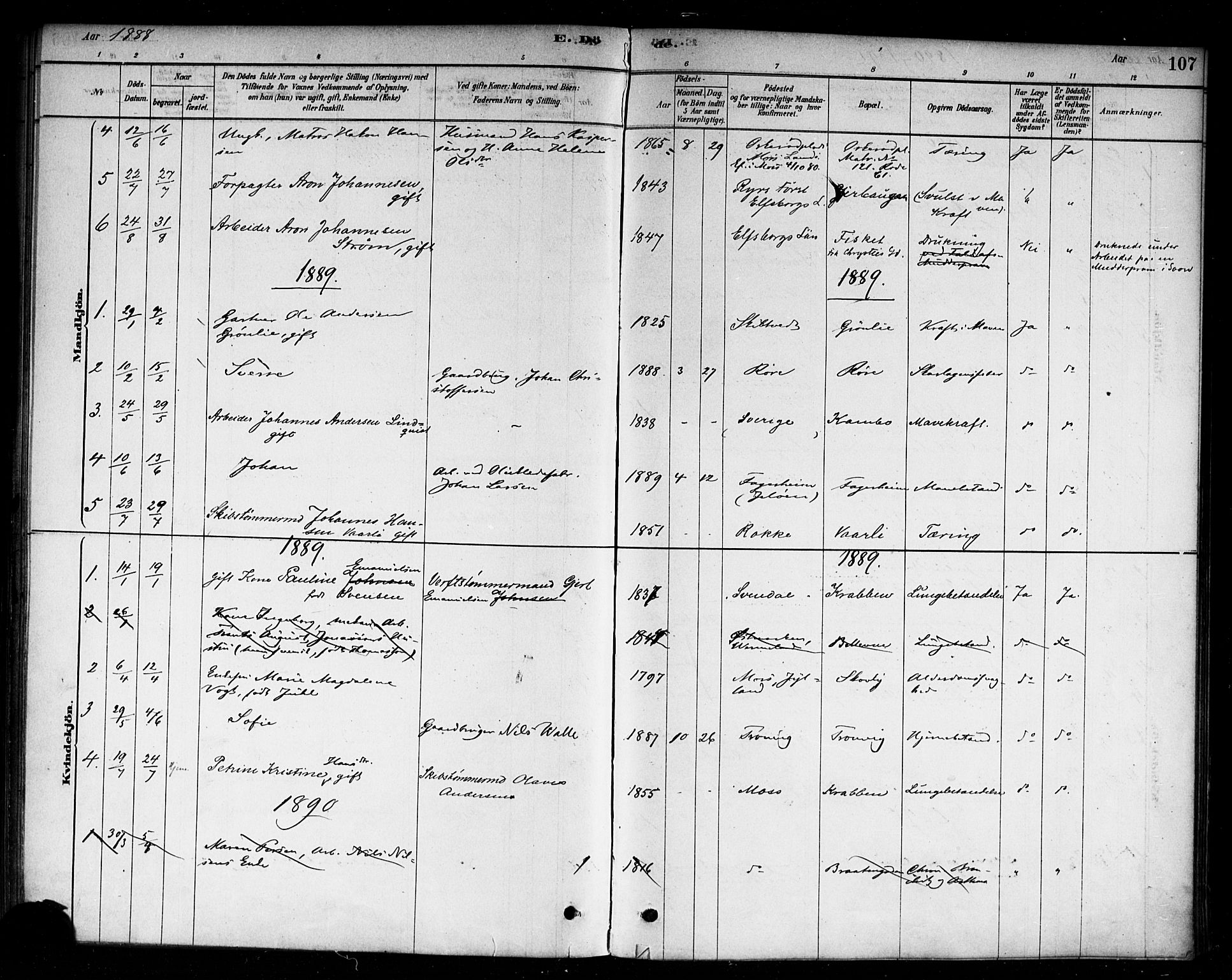 Moss prestekontor Kirkebøker, AV/SAO-A-2003/F/Fc/L0001: Parish register (official) no. III 1, 1878-1894, p. 107