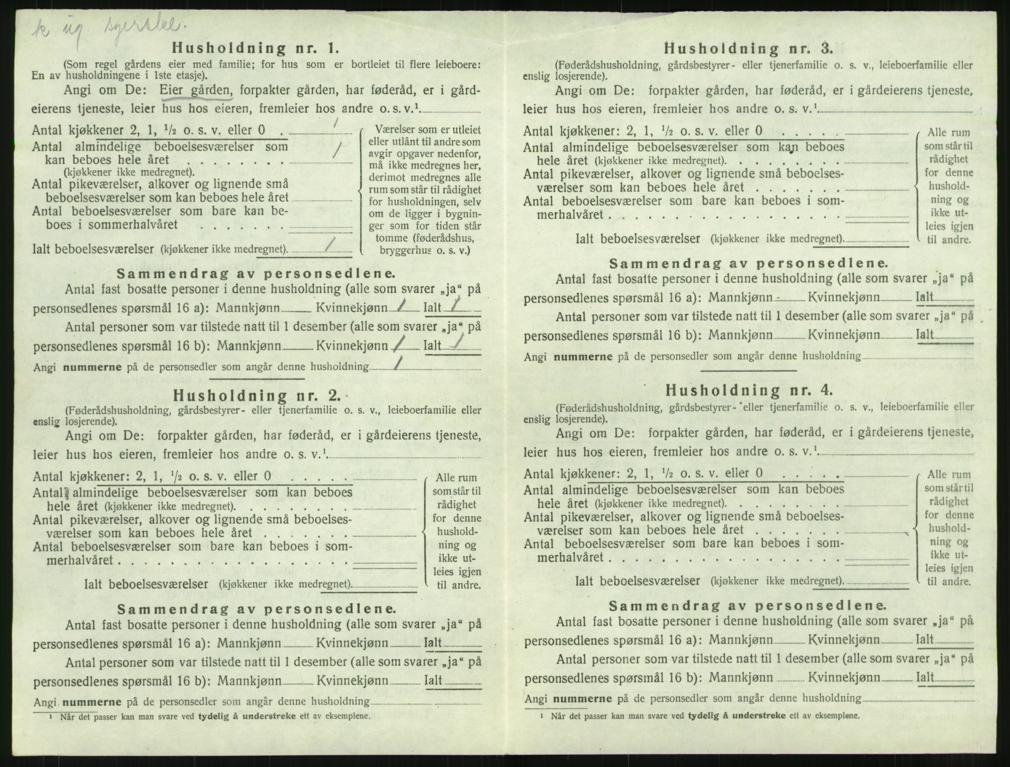 SAT, 1920 census for Hustad, 1920, p. 294