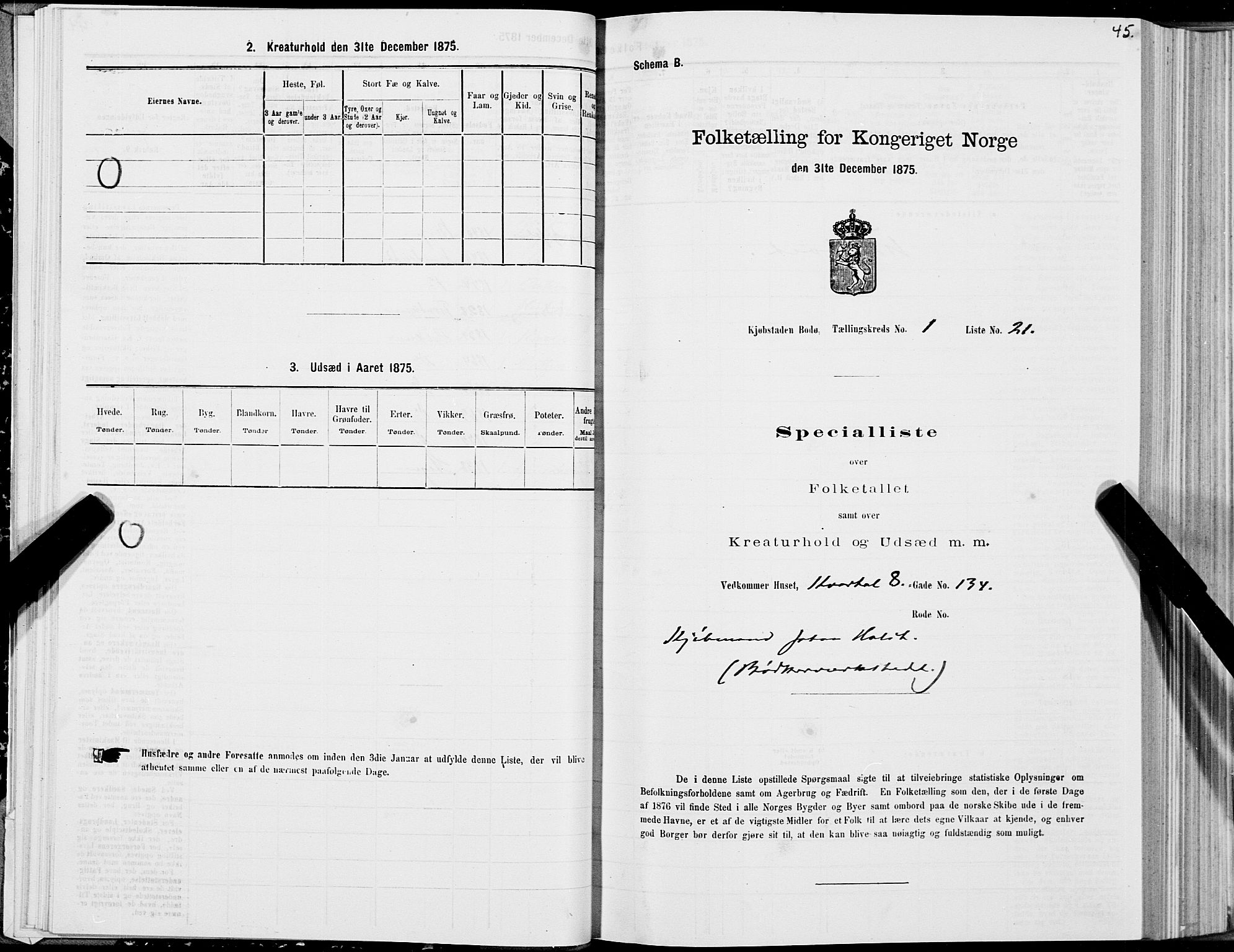 SAT, 1875 census for 1804B Bodø/Bodø, 1875, p. 45