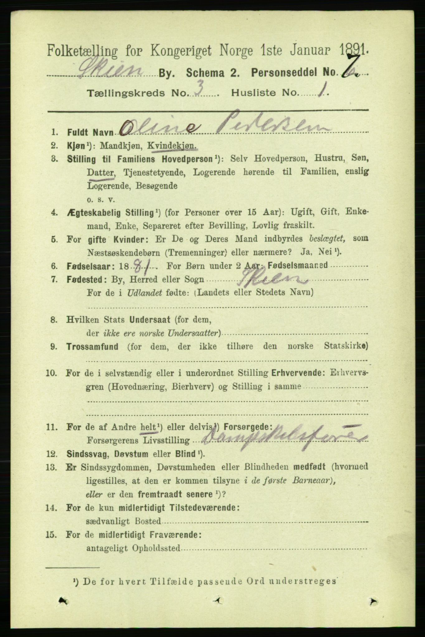 RA, 1891 census for 0806 Skien, 1891, p. 2471