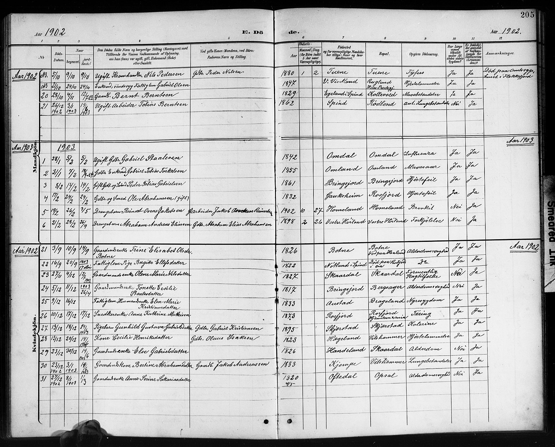 Lyngdal sokneprestkontor, AV/SAK-1111-0029/F/Fb/Fbc/L0005: Parish register (copy) no. B 5, 1897-1913, p. 205