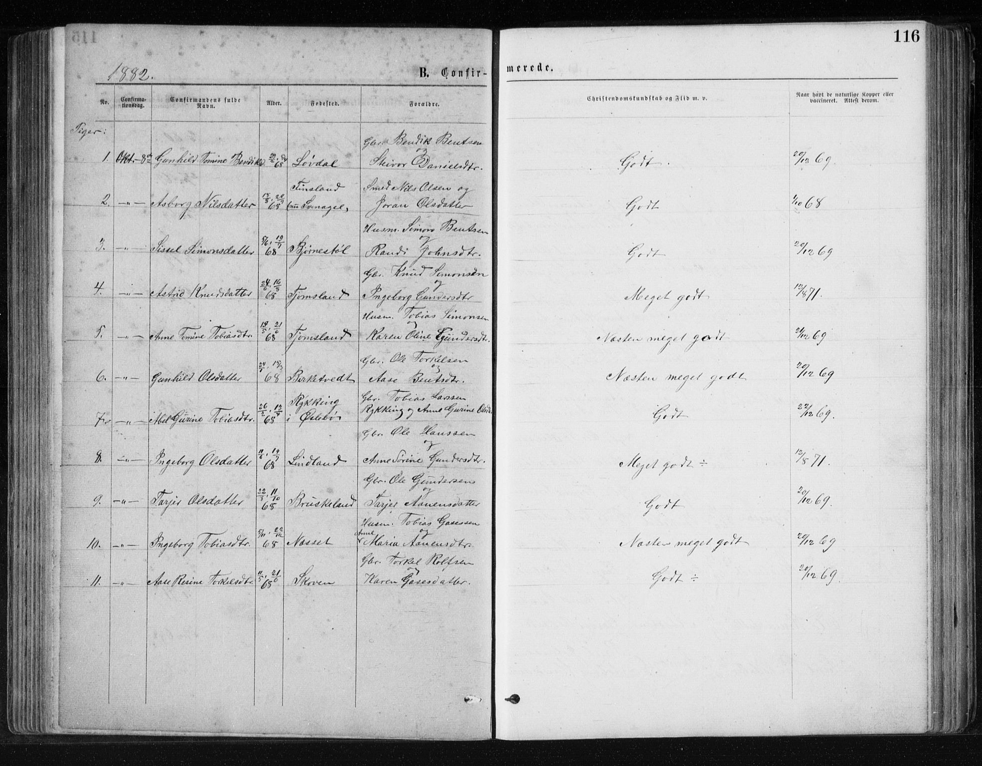 Holum sokneprestkontor, AV/SAK-1111-0022/F/Fb/Fbb/L0003: Parish register (copy) no. B 3, 1875-1898, p. 116