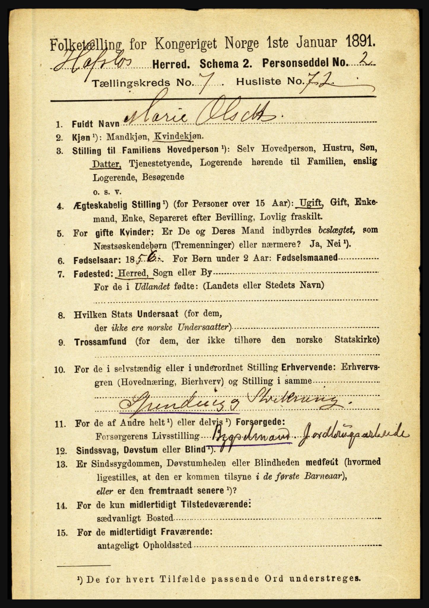 RA, 1891 census for 1425 Hafslo, 1891, p. 3124