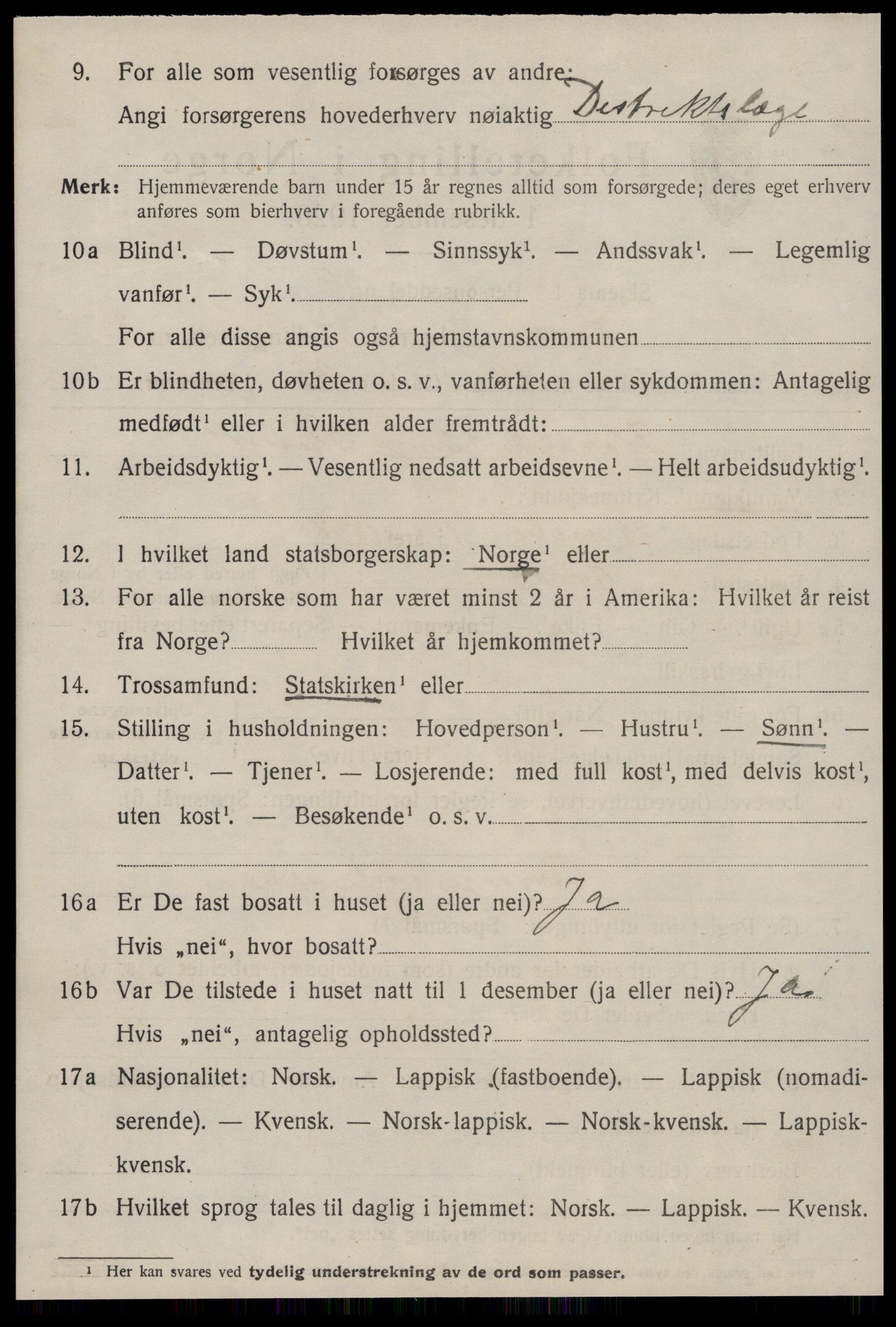 SAT, 1920 census for Røros, 1920, p. 4513