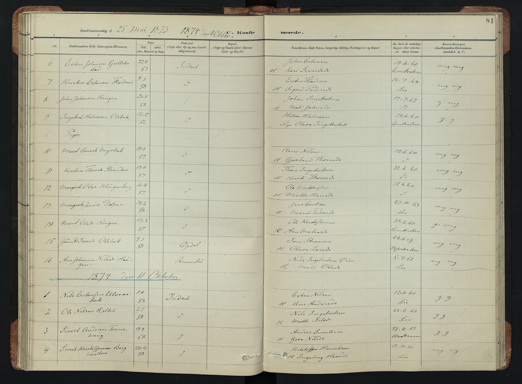 Kvikne prestekontor, AV/SAH-PREST-064/H/Ha/Hab/L0002: Parish register (copy) no. 2, 1859-1901, p. 81