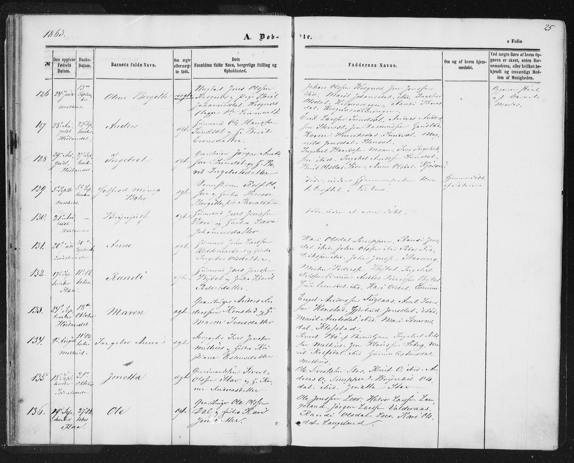 Ministerialprotokoller, klokkerbøker og fødselsregistre - Sør-Trøndelag, SAT/A-1456/691/L1077: Parish register (official) no. 691A09, 1862-1873, p. 25