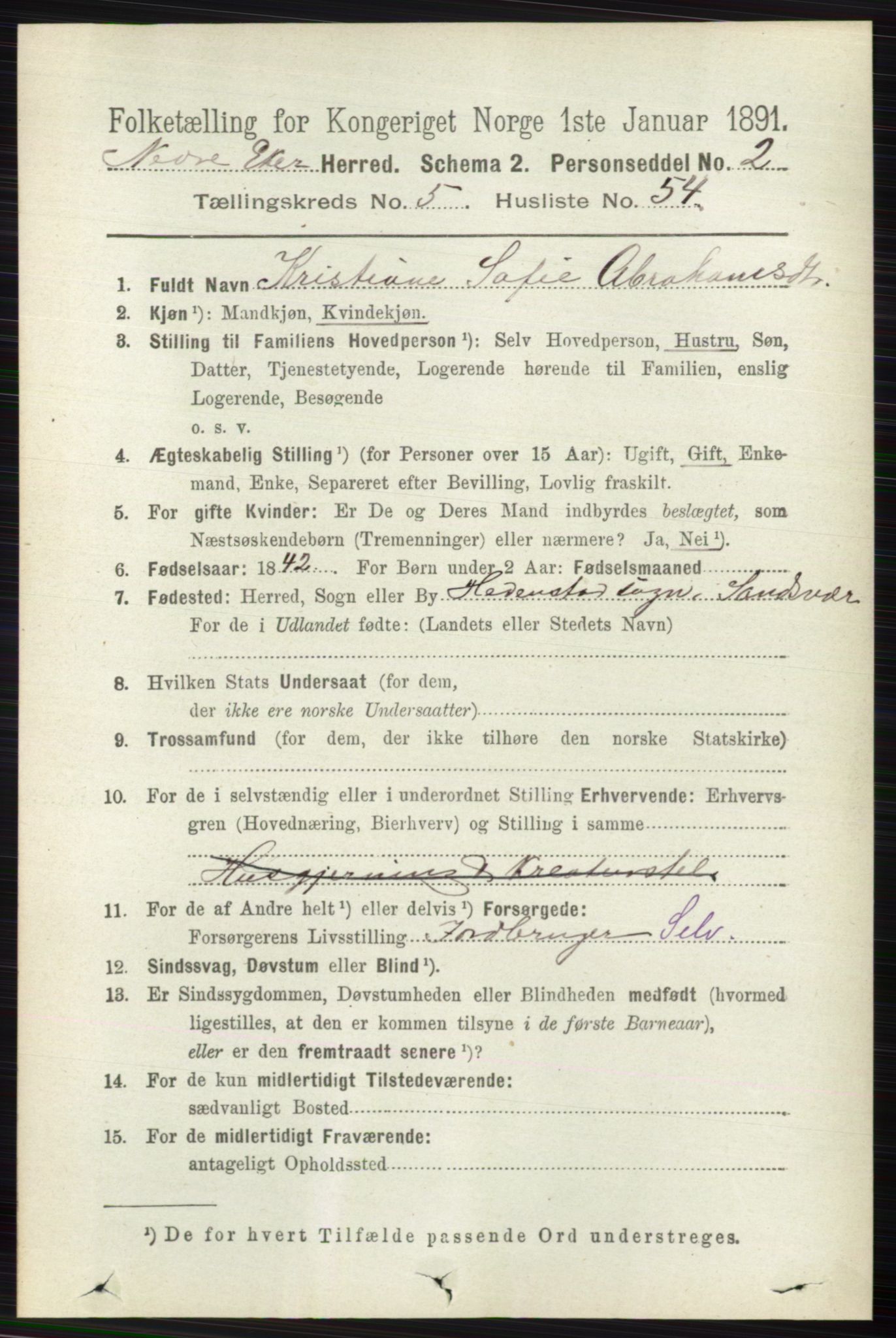 RA, 1891 census for 0625 Nedre Eiker, 1891, p. 2657