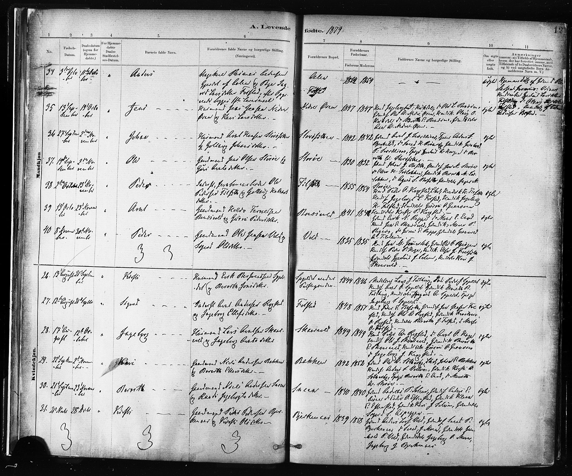 Ministerialprotokoller, klokkerbøker og fødselsregistre - Sør-Trøndelag, SAT/A-1456/687/L1002: Parish register (official) no. 687A08, 1878-1890, p. 12