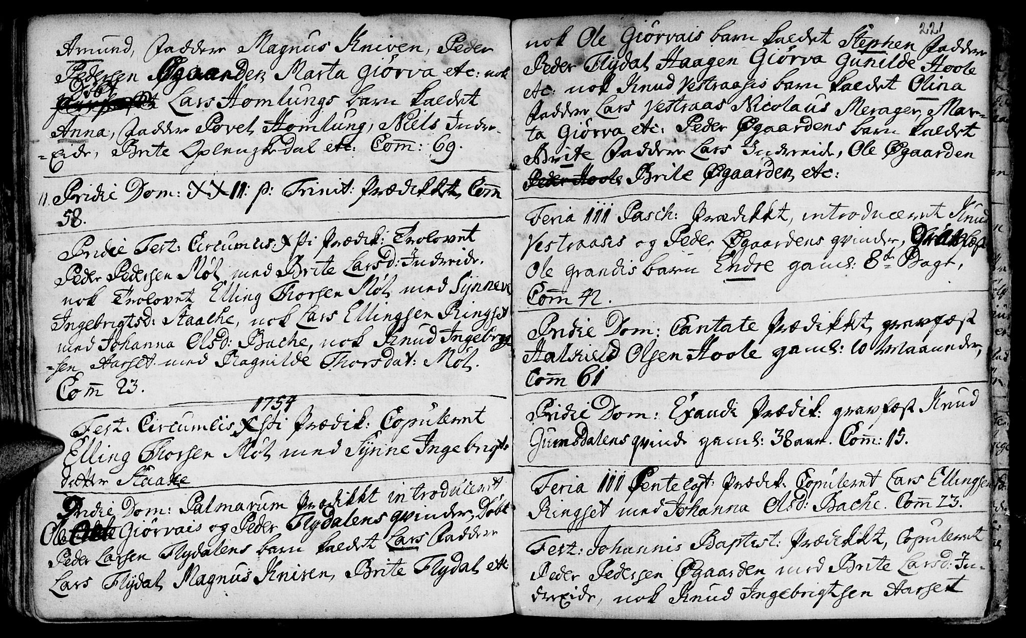Ministerialprotokoller, klokkerbøker og fødselsregistre - Møre og Romsdal, SAT/A-1454/519/L0242: Parish register (official) no. 519A01 /3, 1736-1761, p. 221