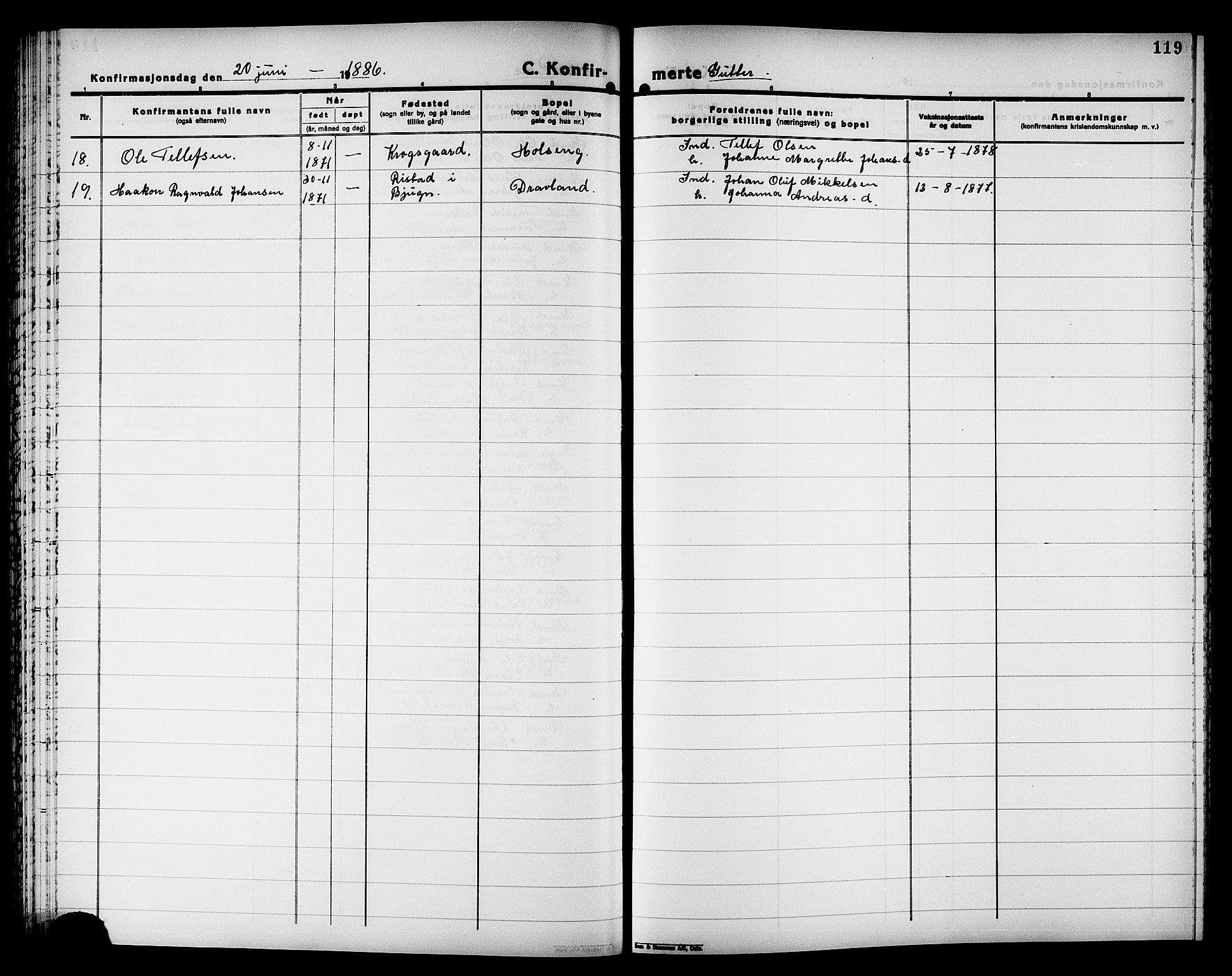 Ministerialprotokoller, klokkerbøker og fødselsregistre - Nord-Trøndelag, SAT/A-1458/749/L0486: Parish register (official) no. 749D02, 1873-1887, p. 119