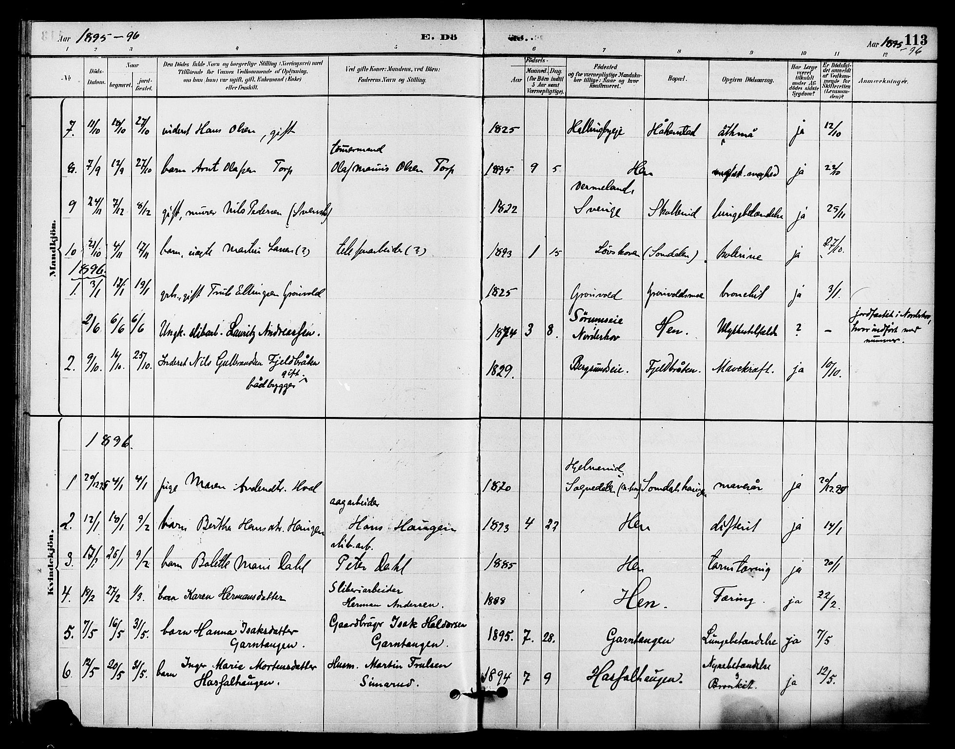 Ådal kirkebøker, AV/SAKO-A-248/F/Fb/L0001: Parish register (official) no. II 1, 1884-1897, p. 113