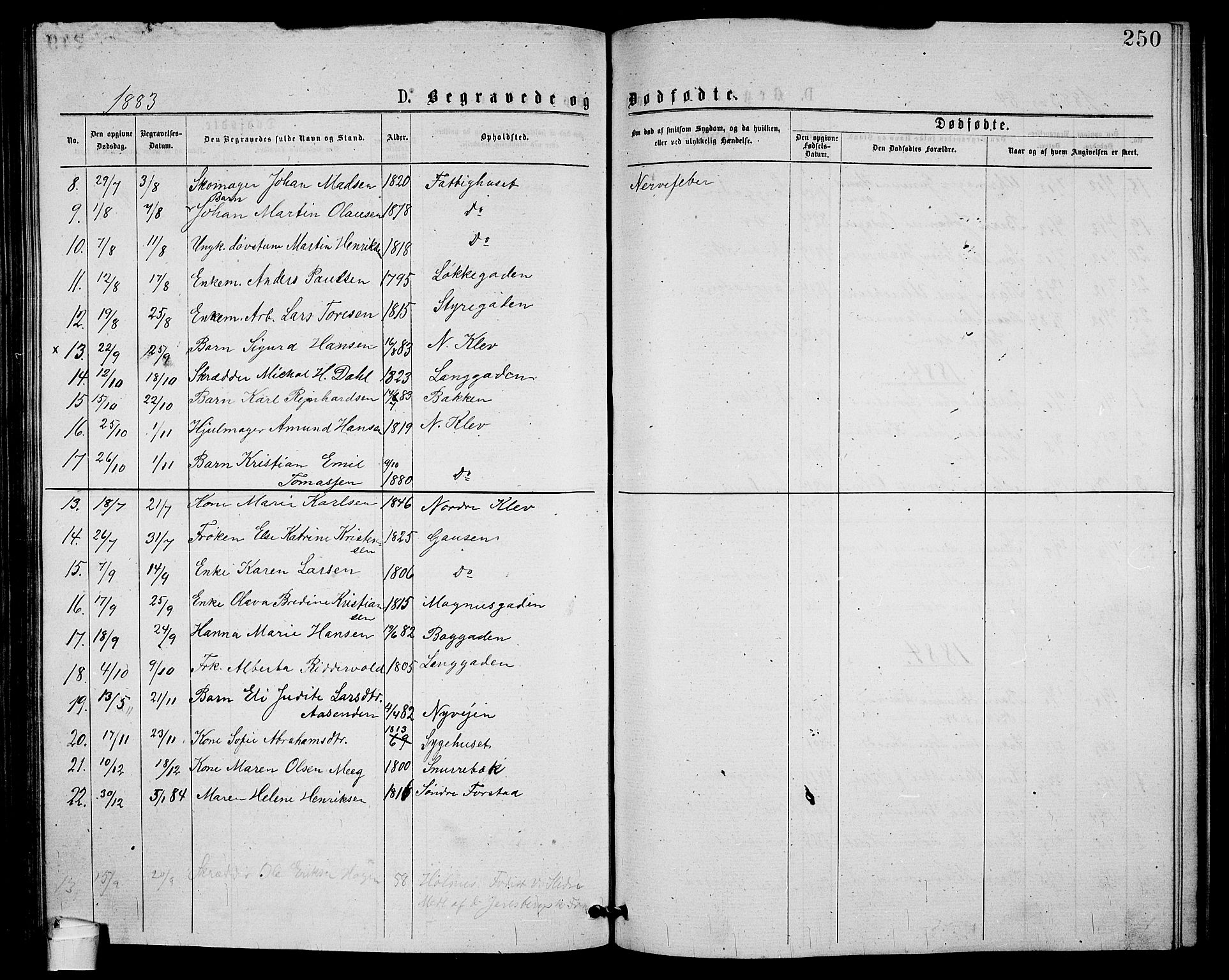 Holmestrand kirkebøker, AV/SAKO-A-346/G/Ga/L0004: Parish register (copy) no. 4, 1874-1888, p. 250